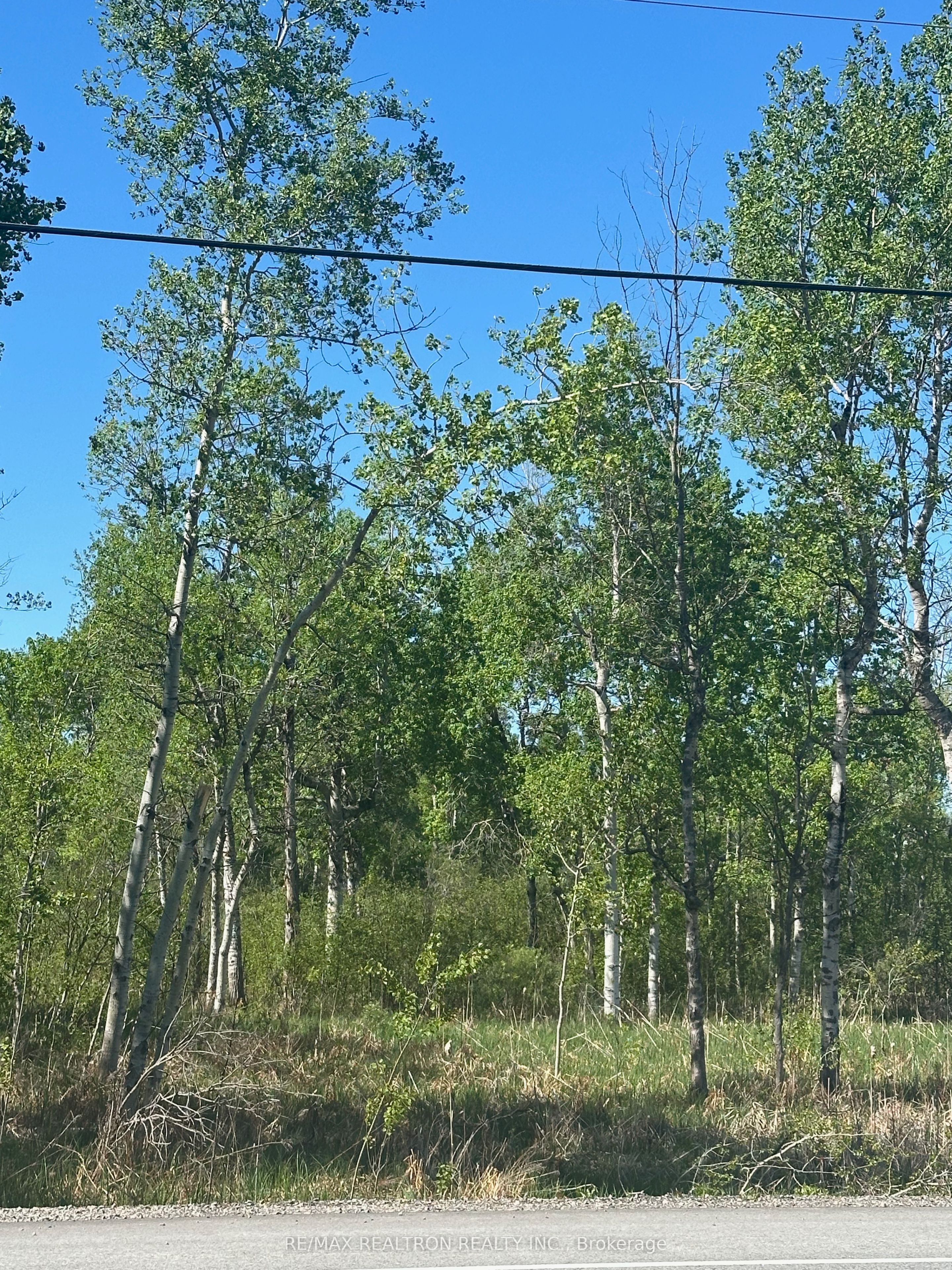 Con 7 Pt Lot 1 Ravenshoe Road Property Photo 2