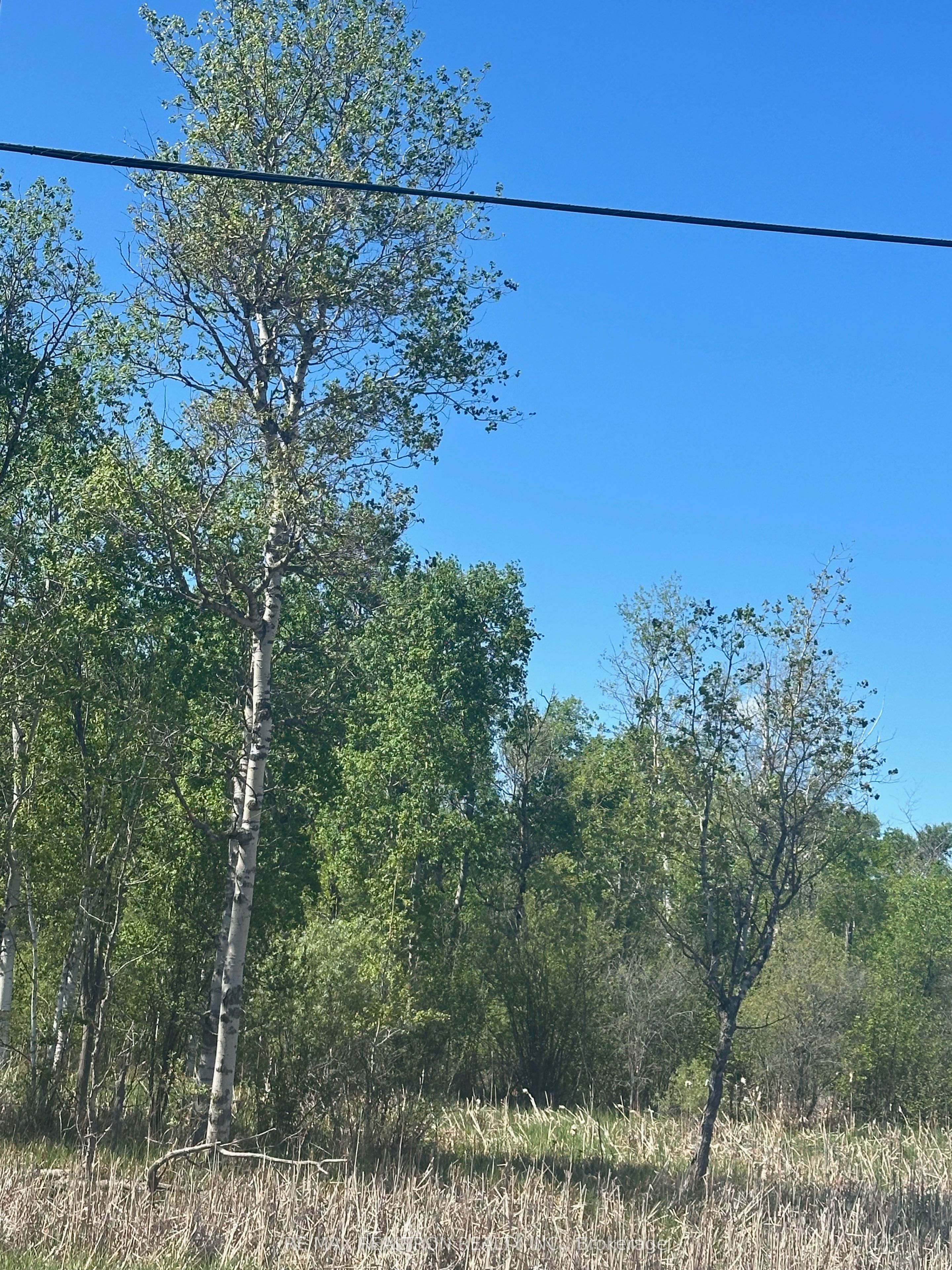 Con 7 Pt Lot 1 Ravenshoe Road Property Photo 3