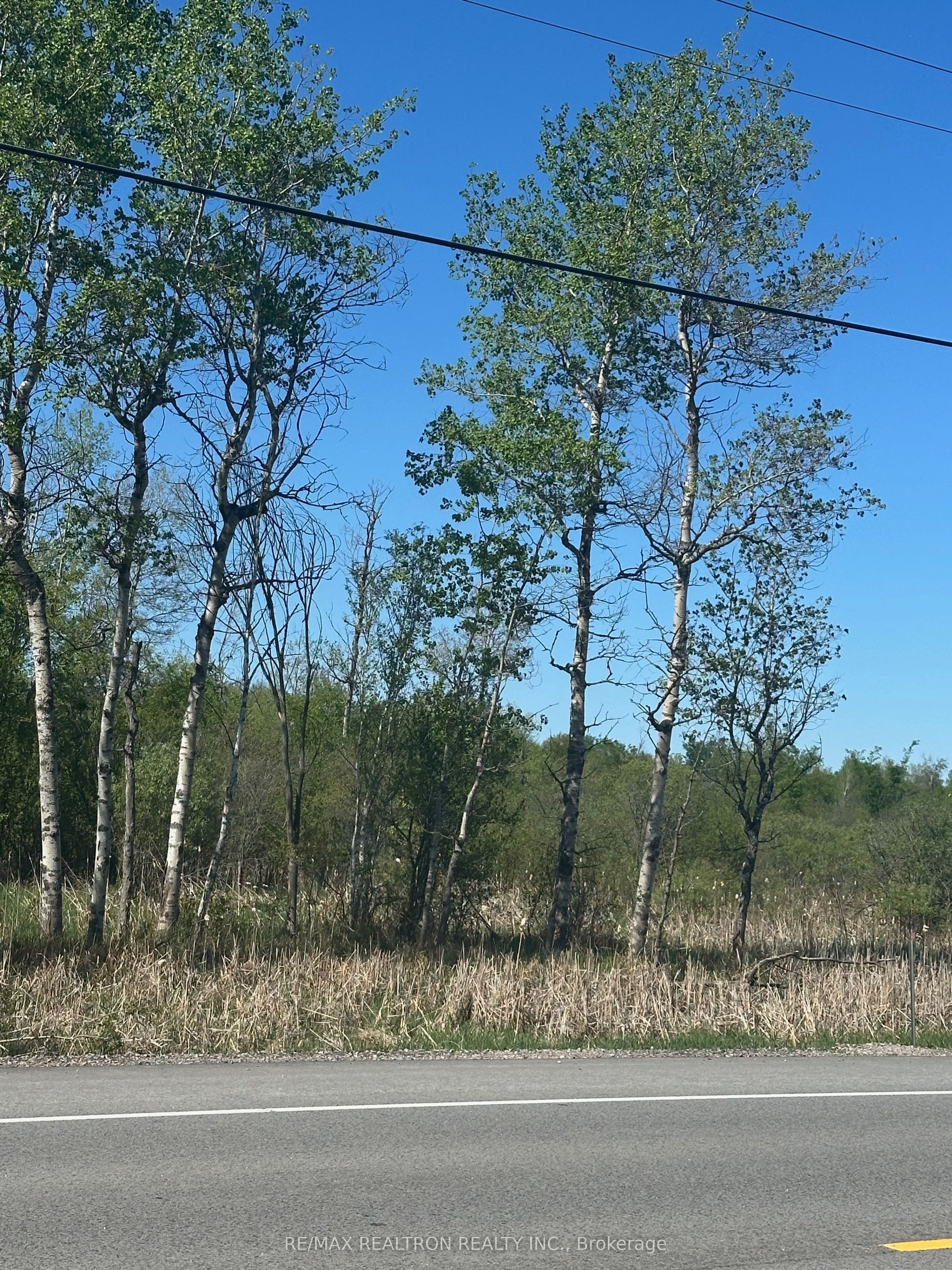 Con 7 Pt Lot 1 Ravenshoe Road Property Photo 4