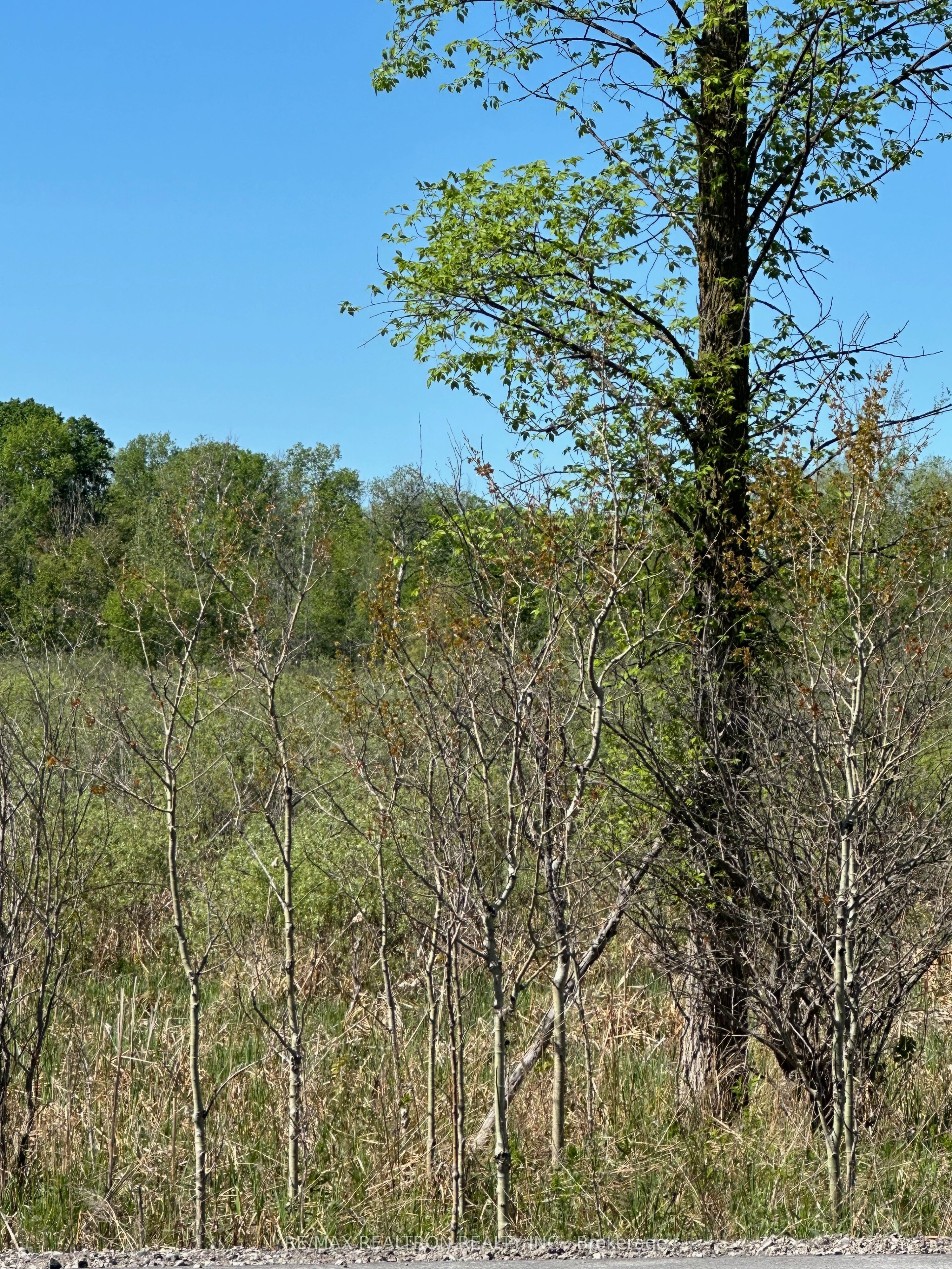 Con 7 Pt Lot 1 Ravenshoe Road Property Photo 7