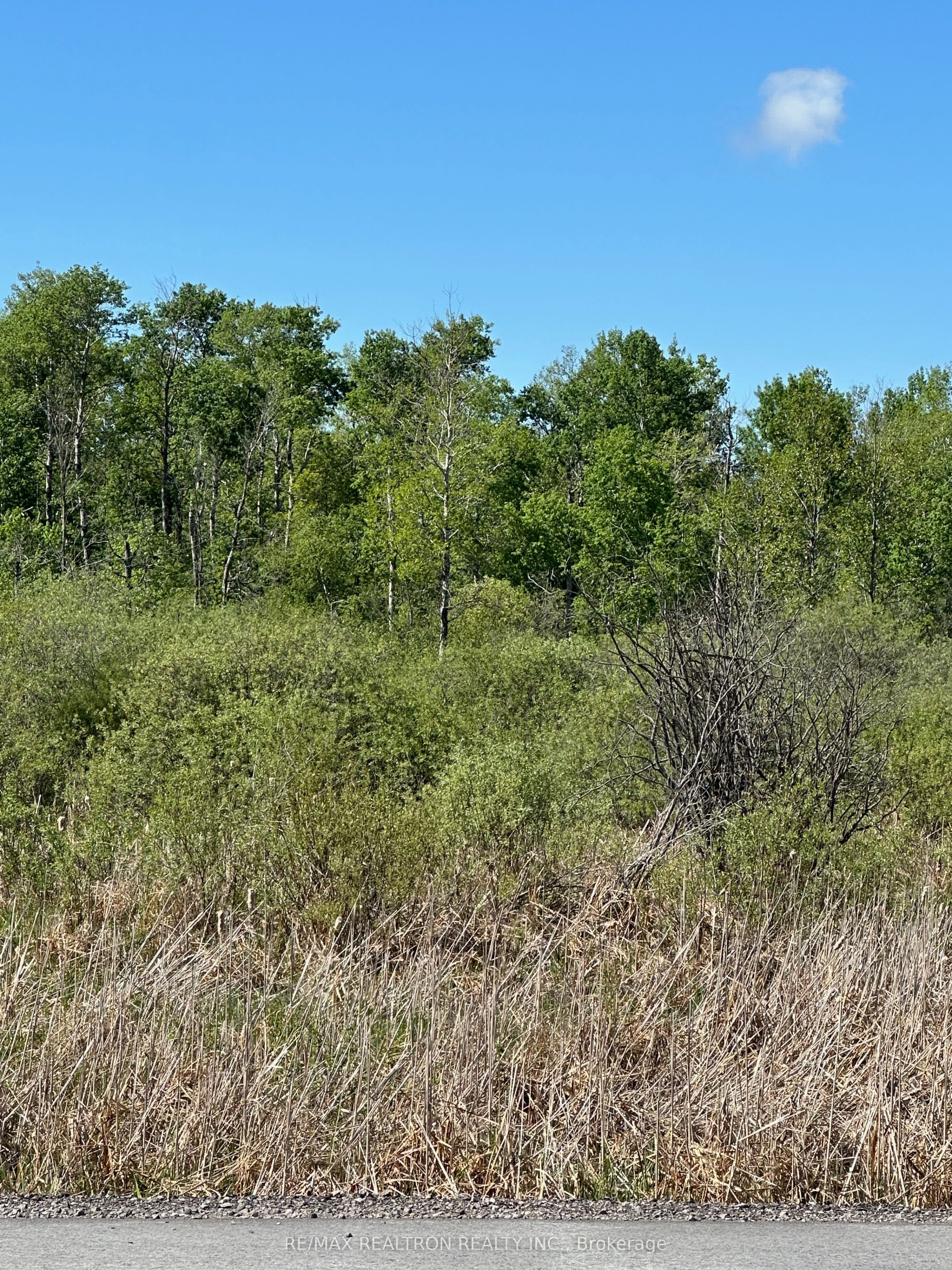 Con 7 Pt Lot 1 Ravenshoe Road Property Photo 8