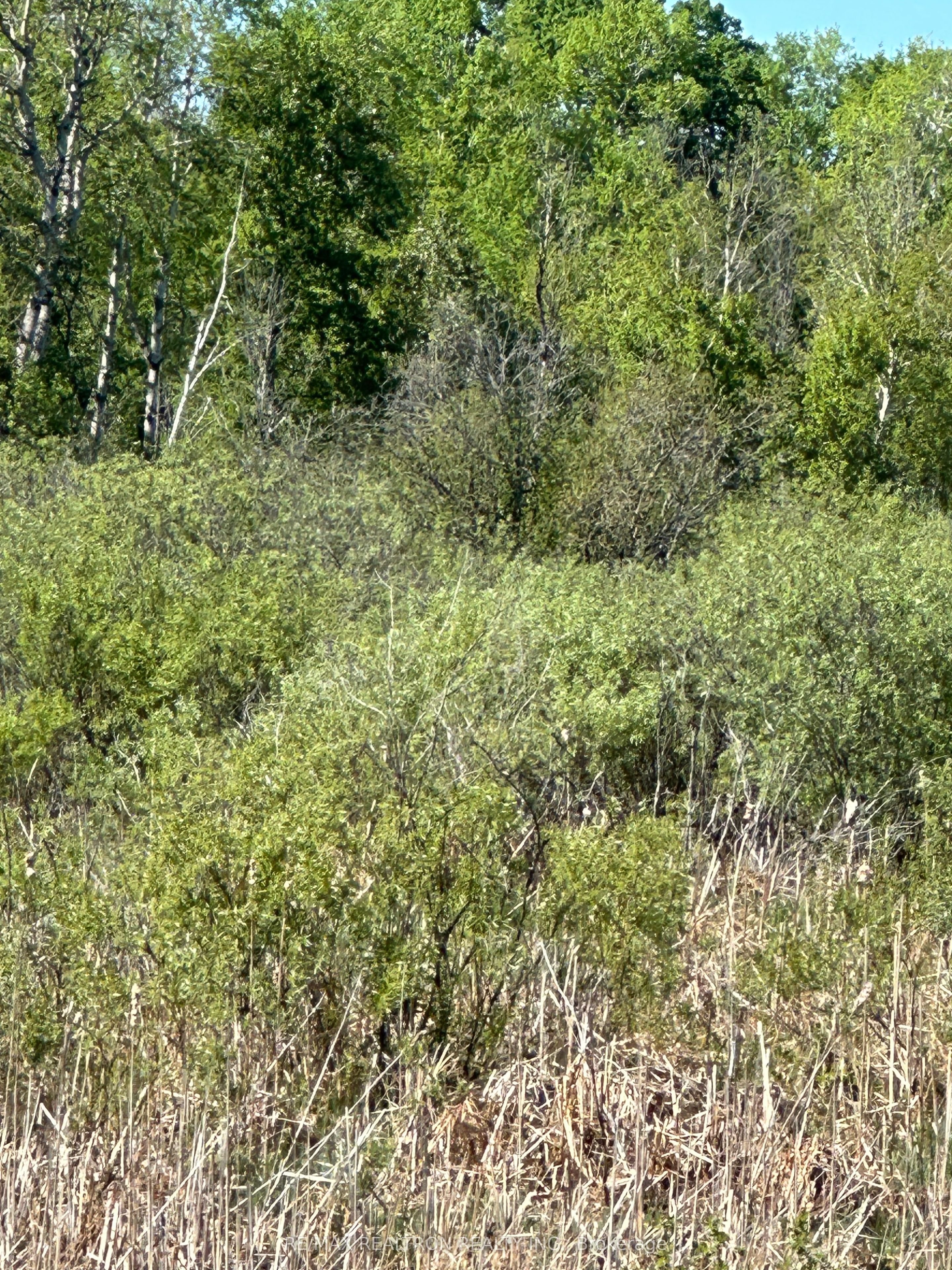 Con 7 Pt Lot 1 Ravenshoe Road Property Photo 12