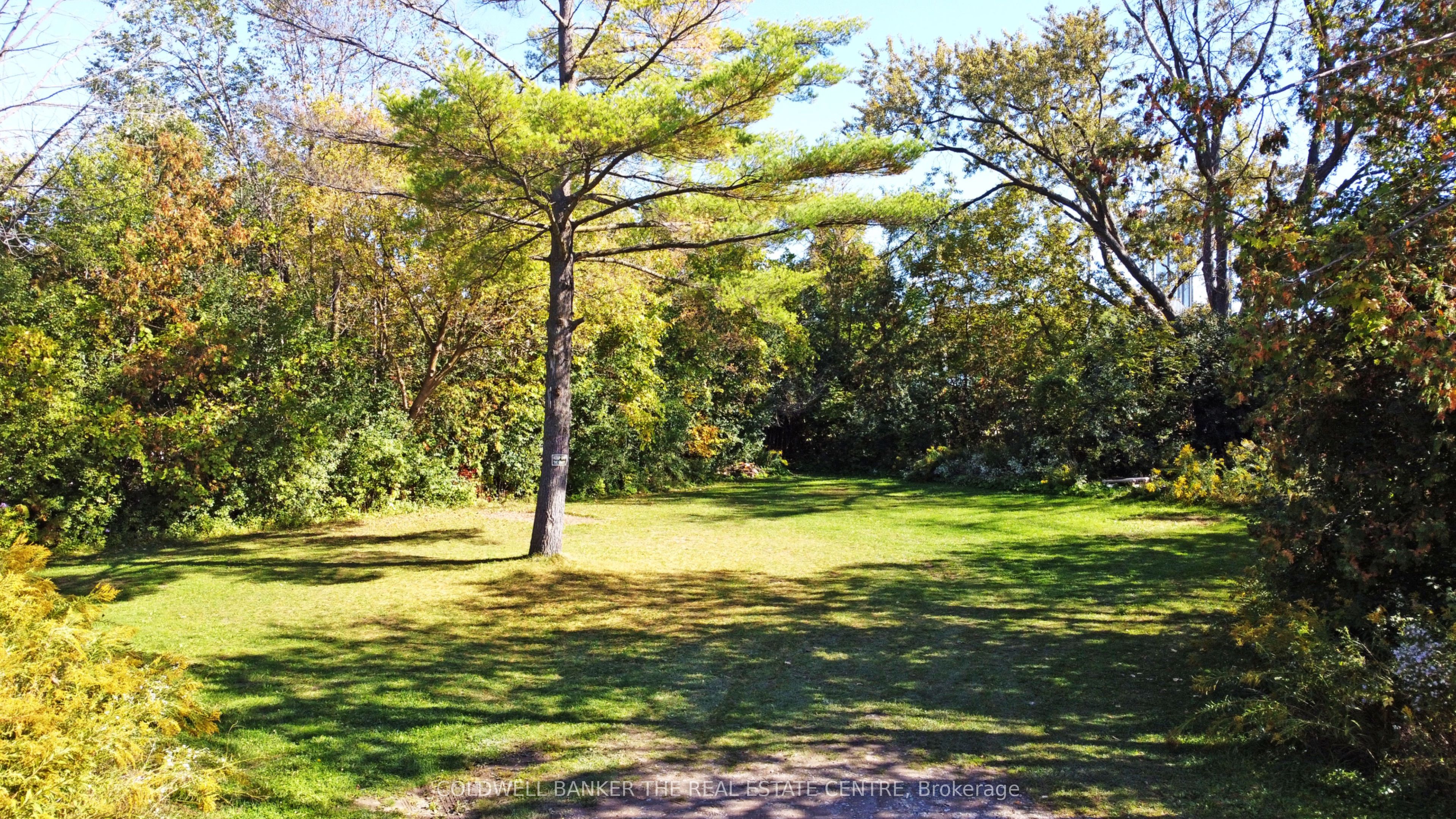 187 Mary Street Property Photo 11