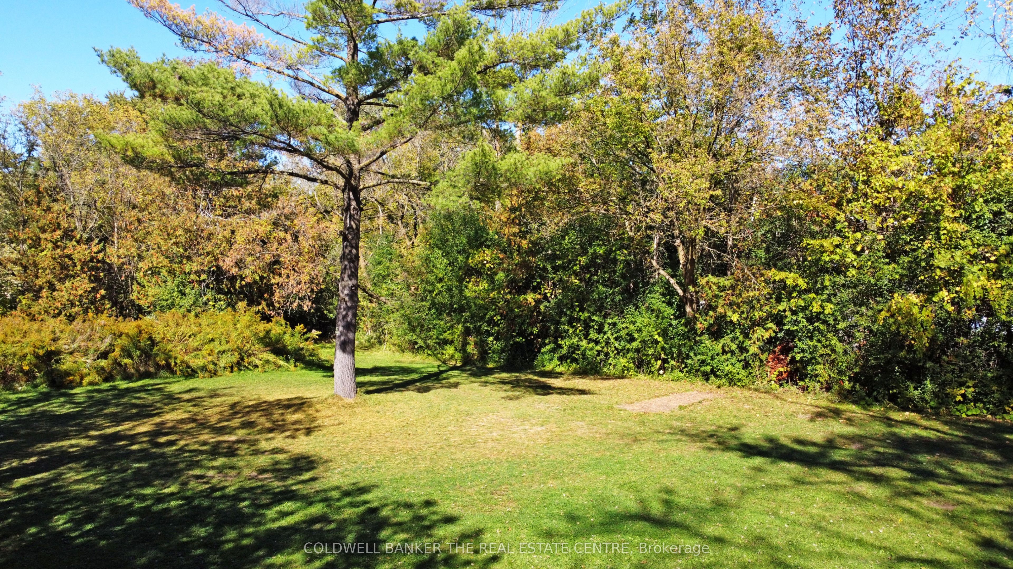 187 Mary Street Property Photo 13