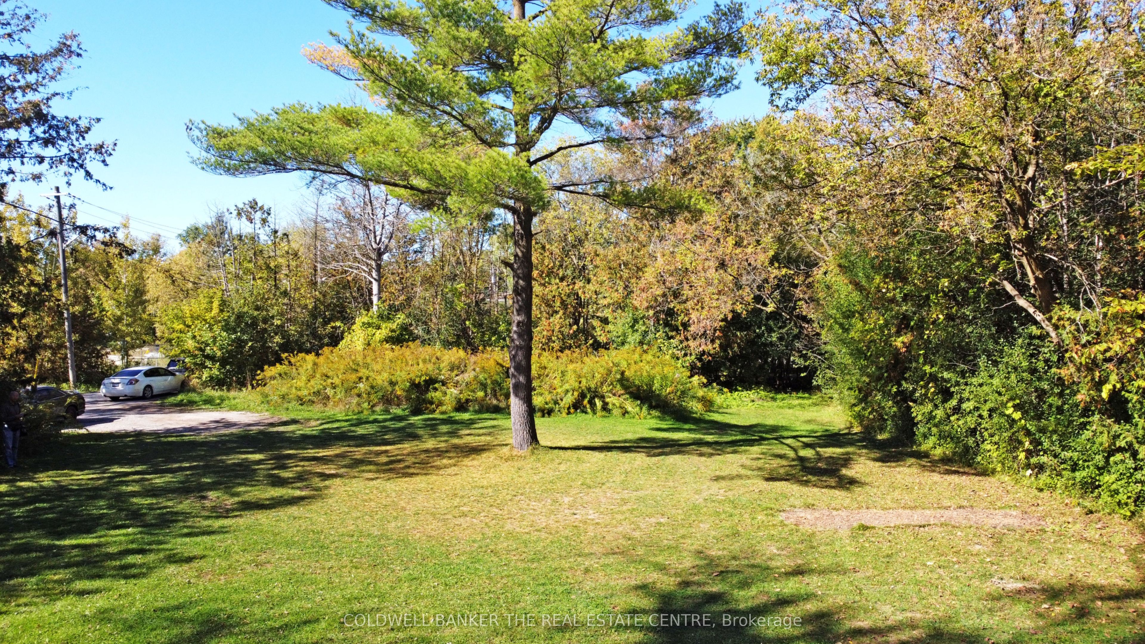 187 Mary Street Property Photo 14