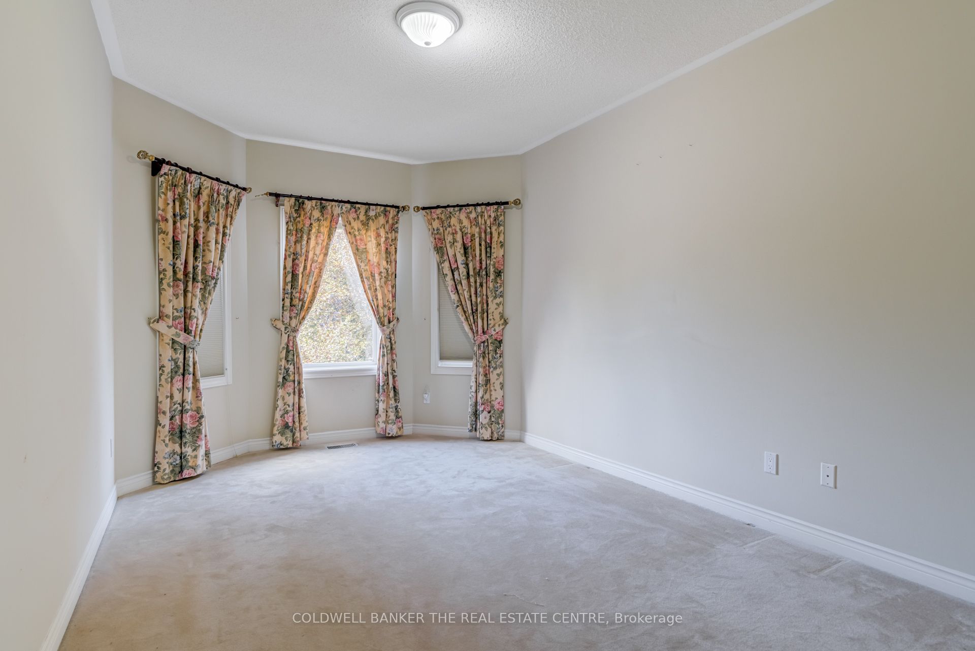 206 Shaftsbury Avenue Property Photo 30