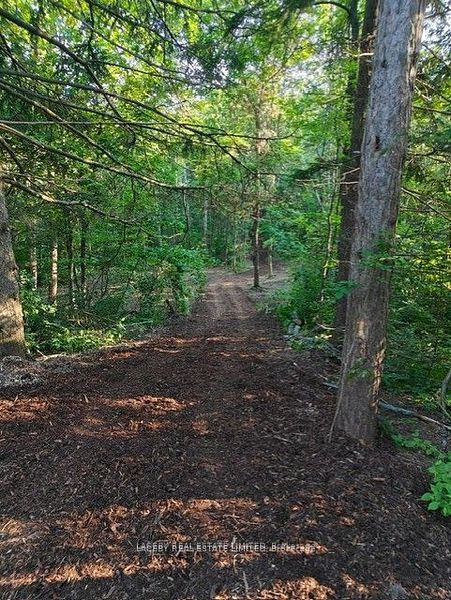 154 Dearbourne Avenue Property Photo 3