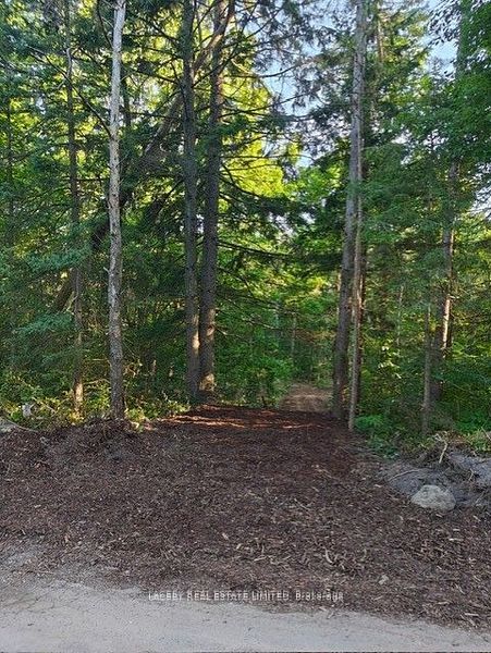 154 Dearbourne Avenue Property Photo 12