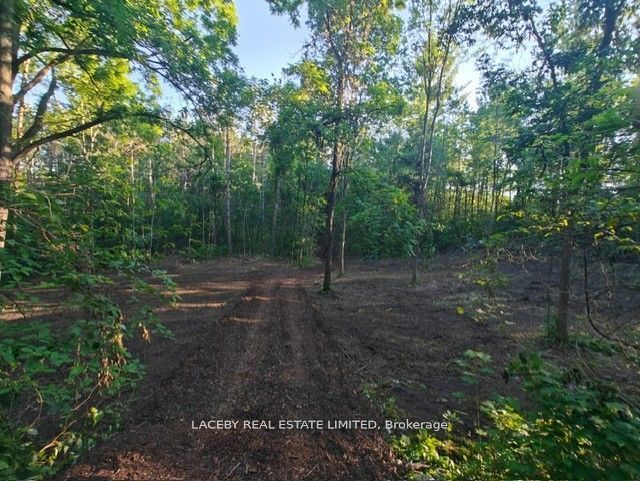 154 Dearbourne Avenue Property Photo 13