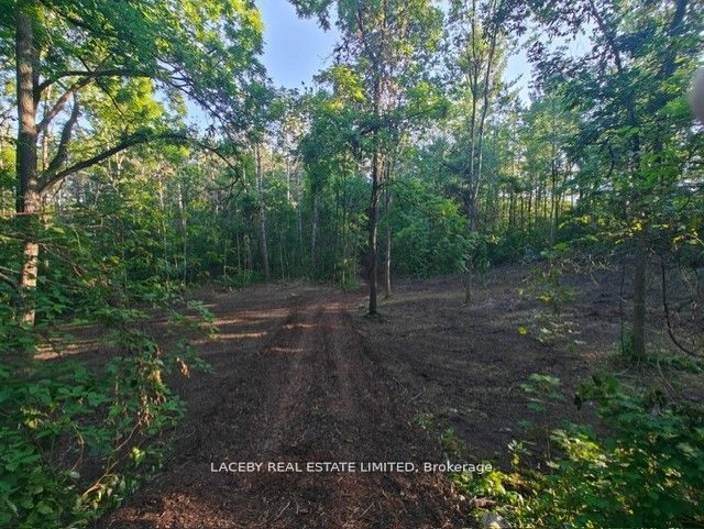 154 Dearbourne Avenue Property Photo 14