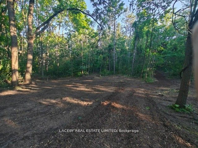 154 Dearbourne Avenue Property Photo 15