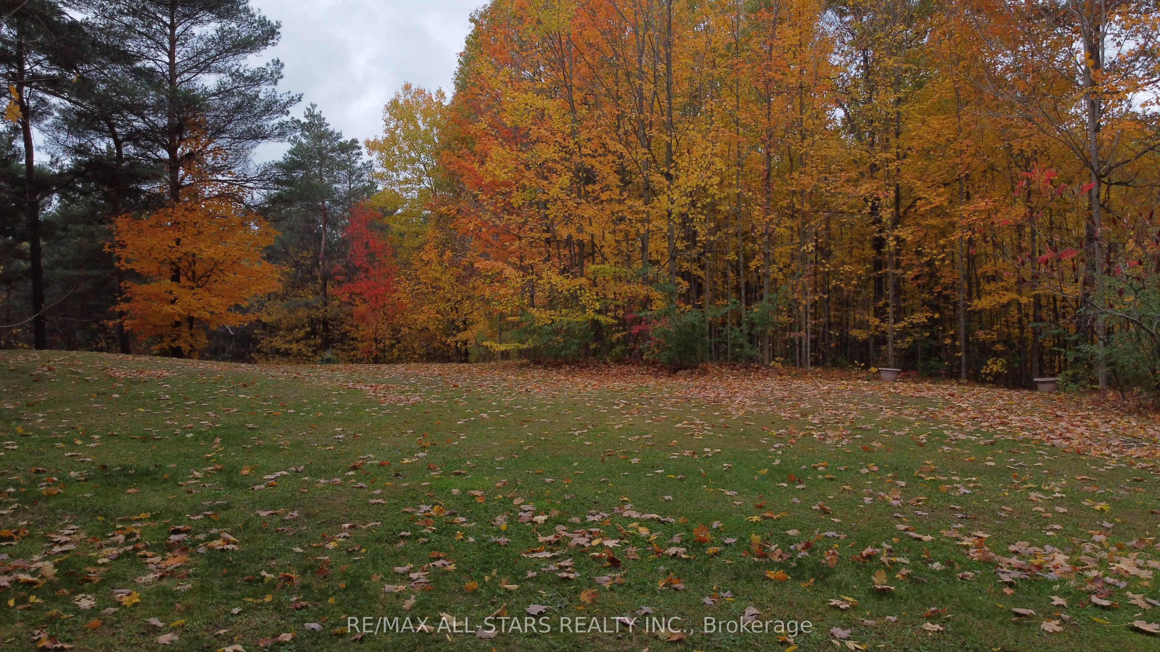 26 Cranborne Chase Property Photo 9