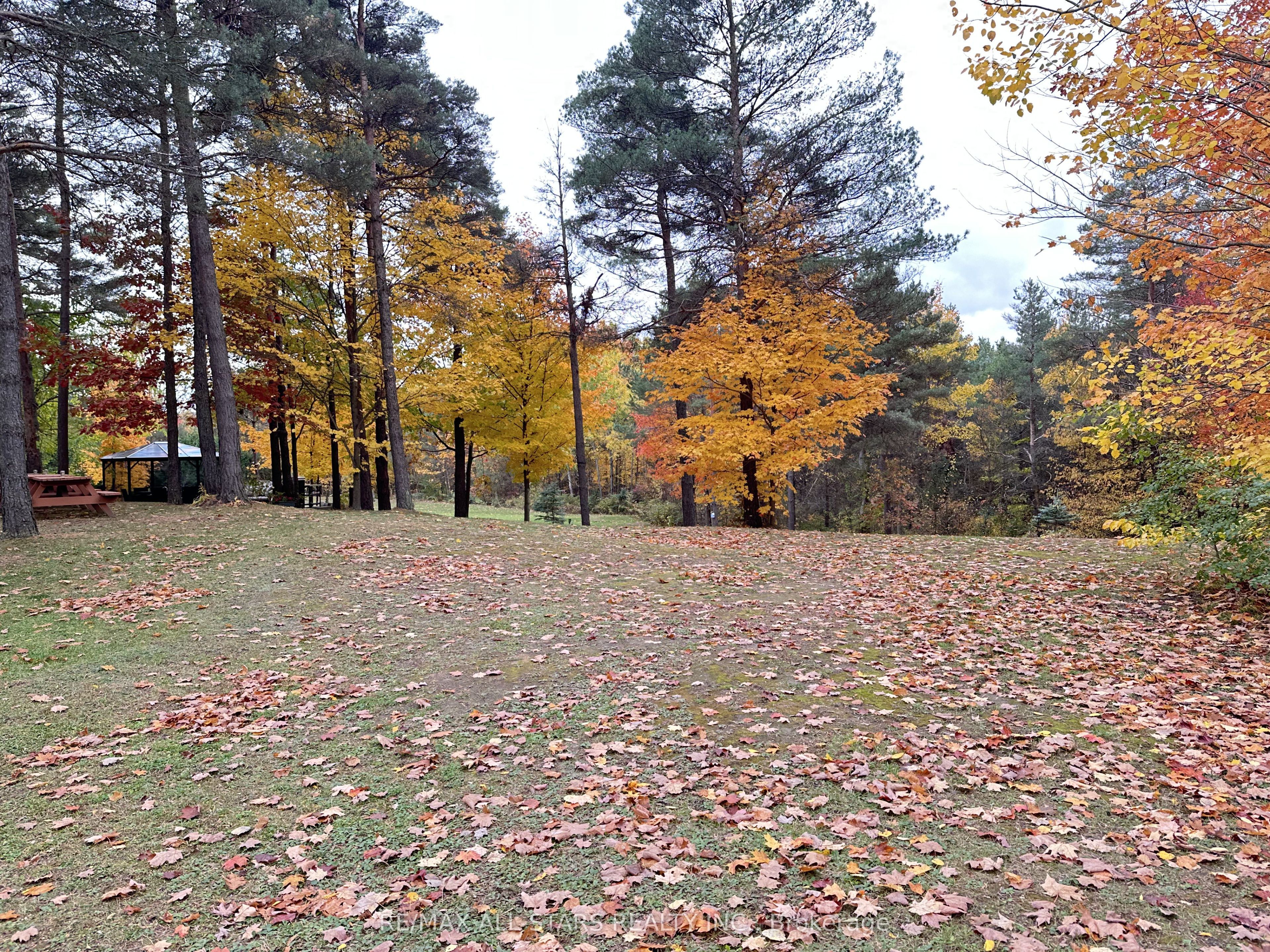 26 Cranborne Chase Property Photo 10