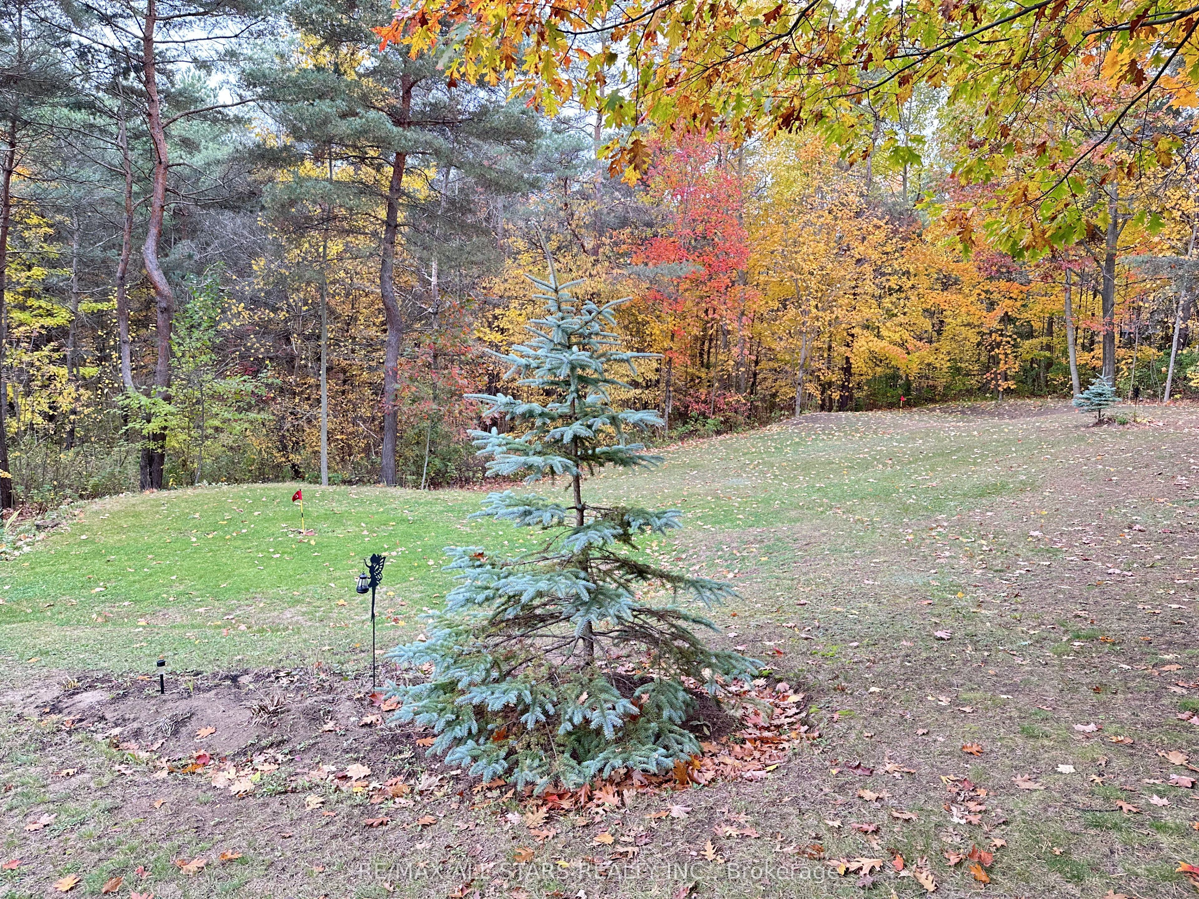 26 Cranborne Chase Property Photo 12