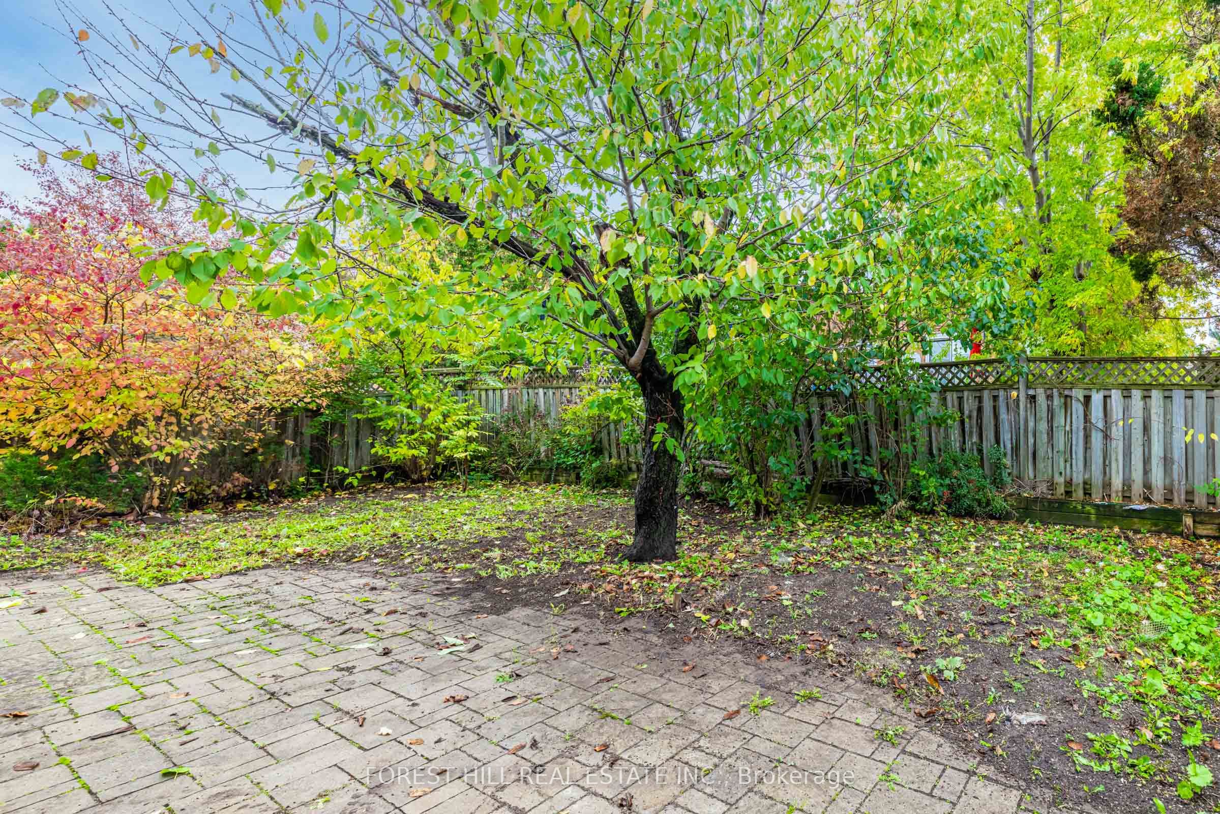 51 Briggs Avenue Property Photo 29