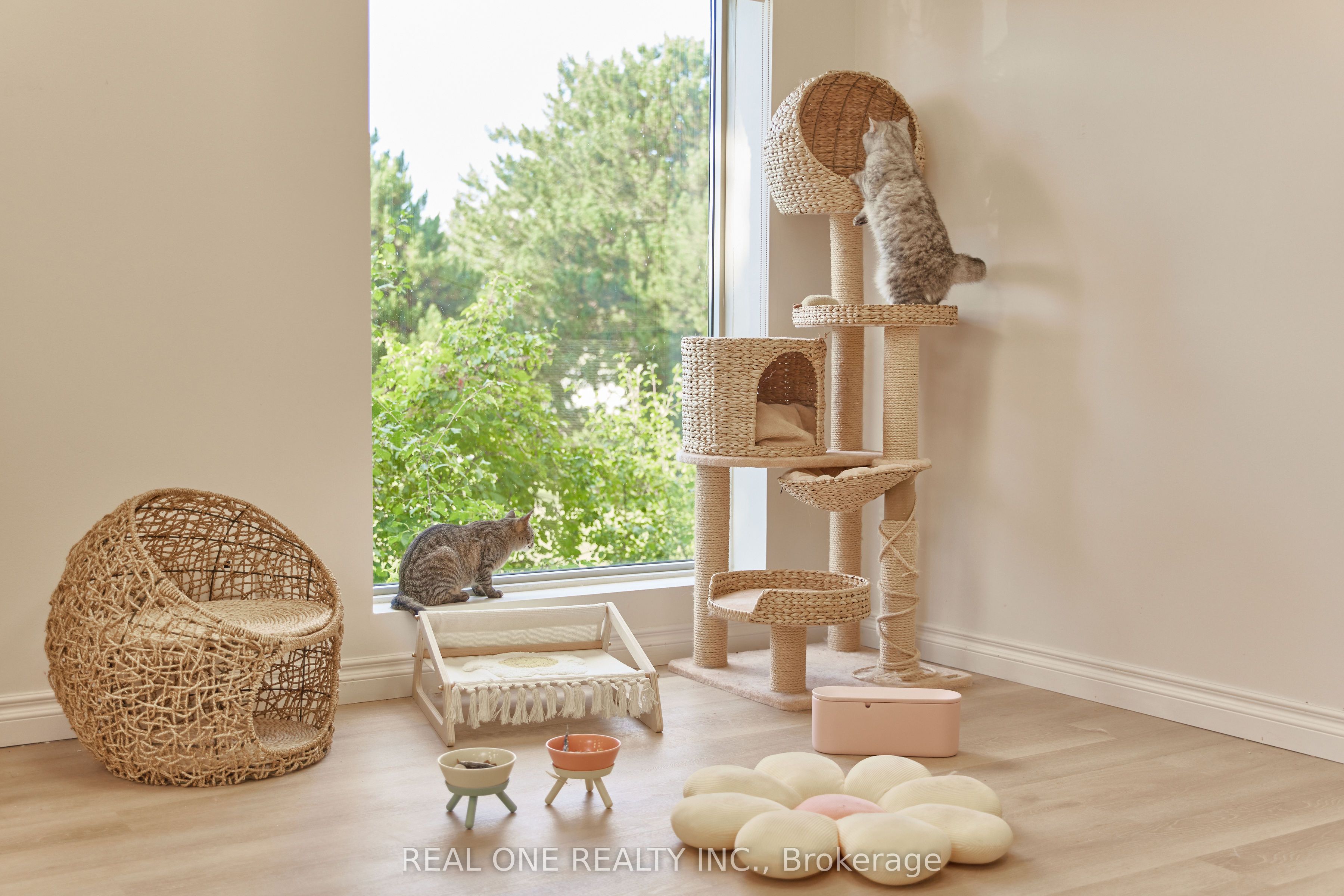 12280 Yonge St Property Photo 5