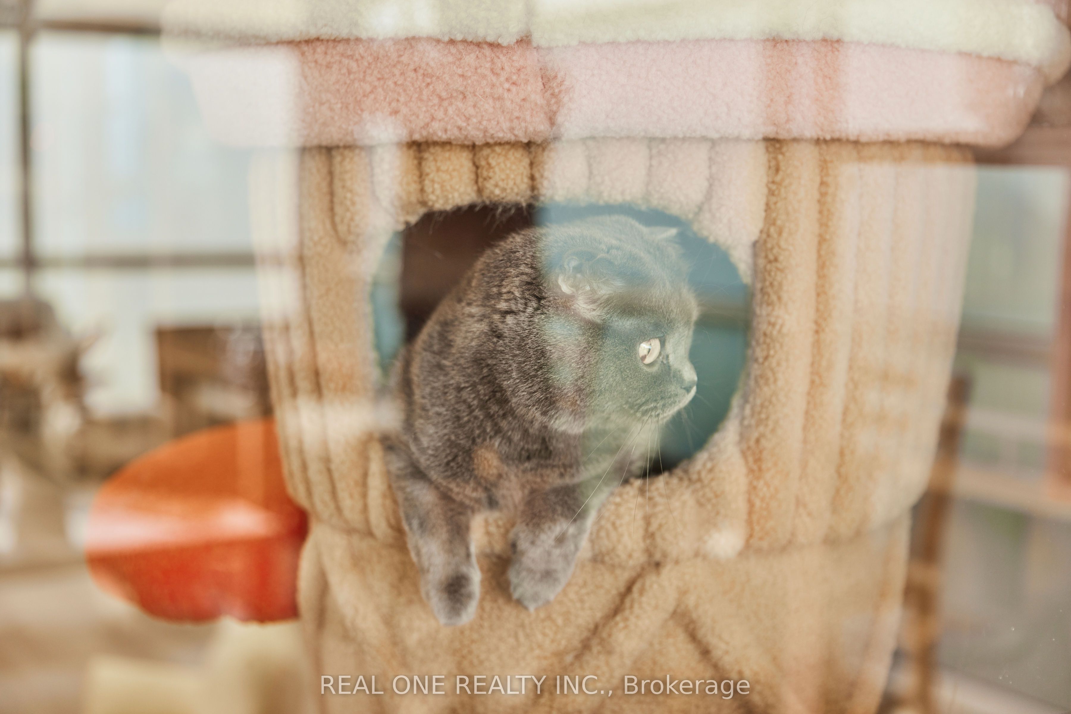 12280 Yonge St Property Photo 6