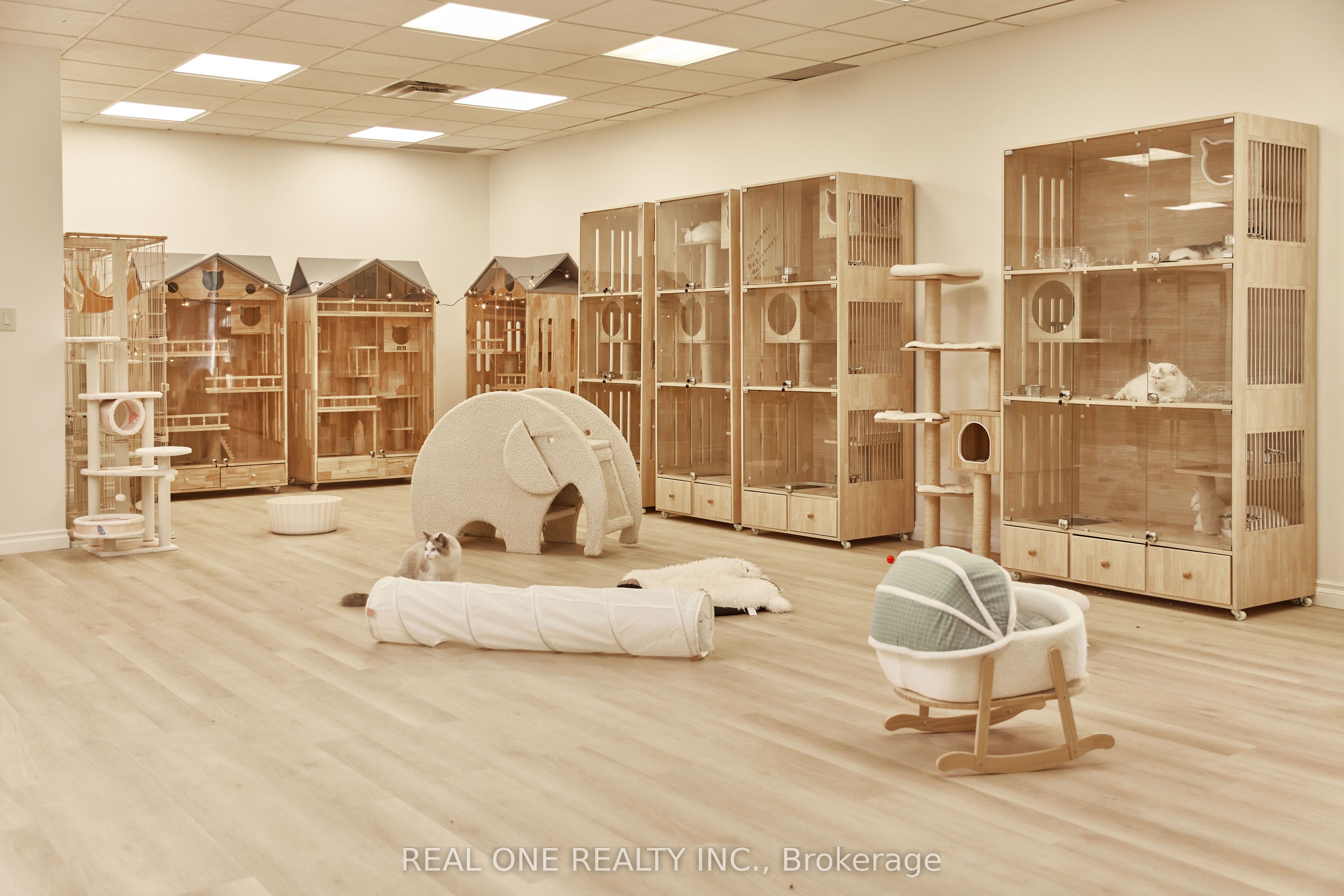 12280 Yonge St Property Photo 9