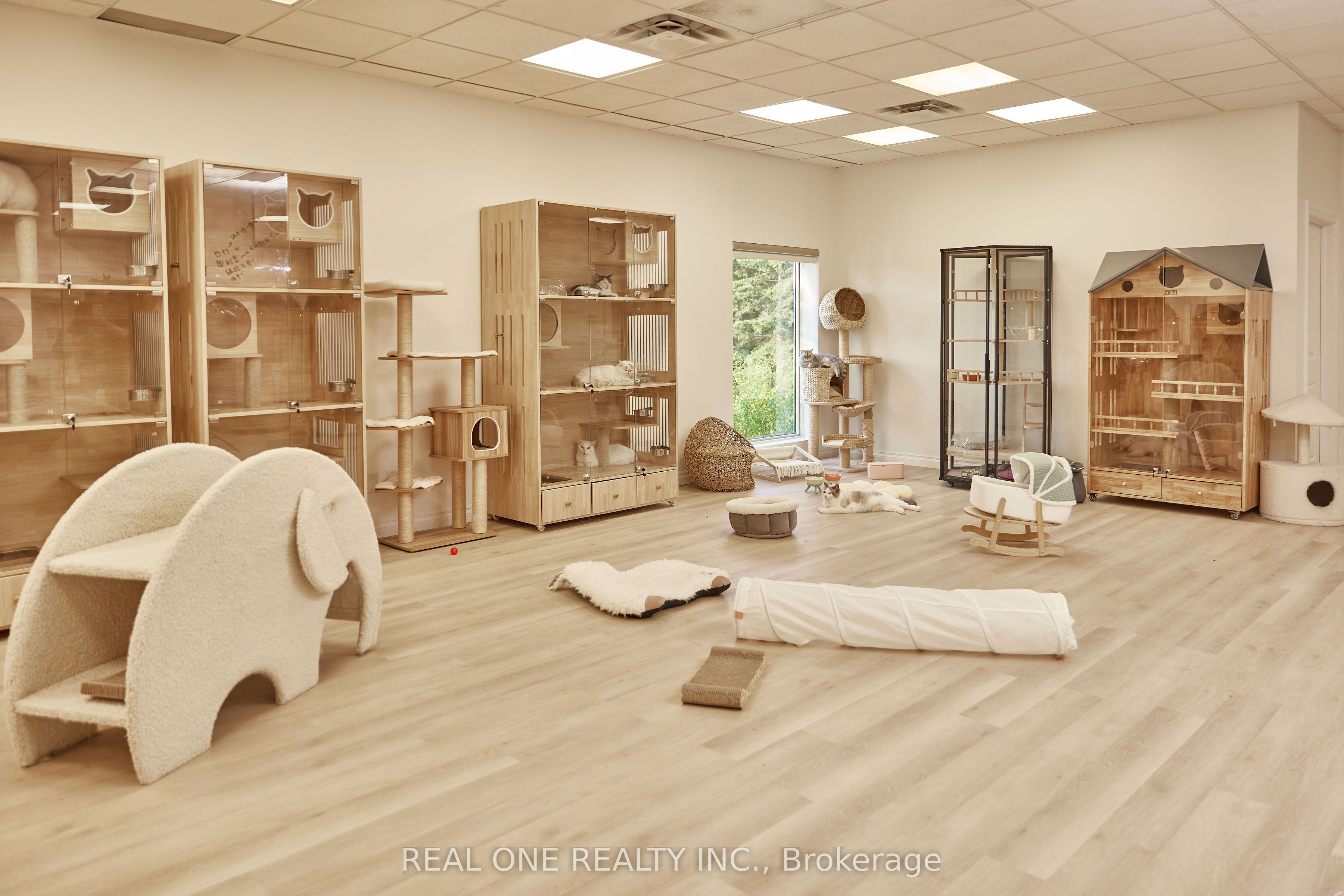 12280 Yonge St Property Photo 10