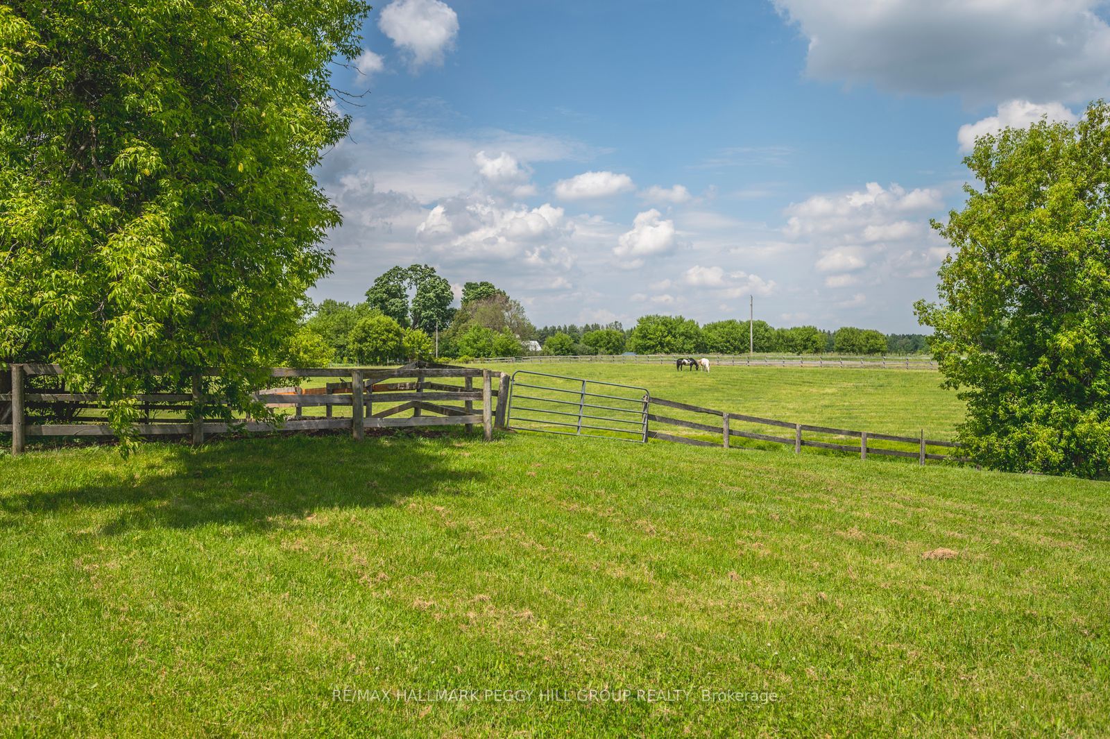 8464 6th Line Property Photo 26