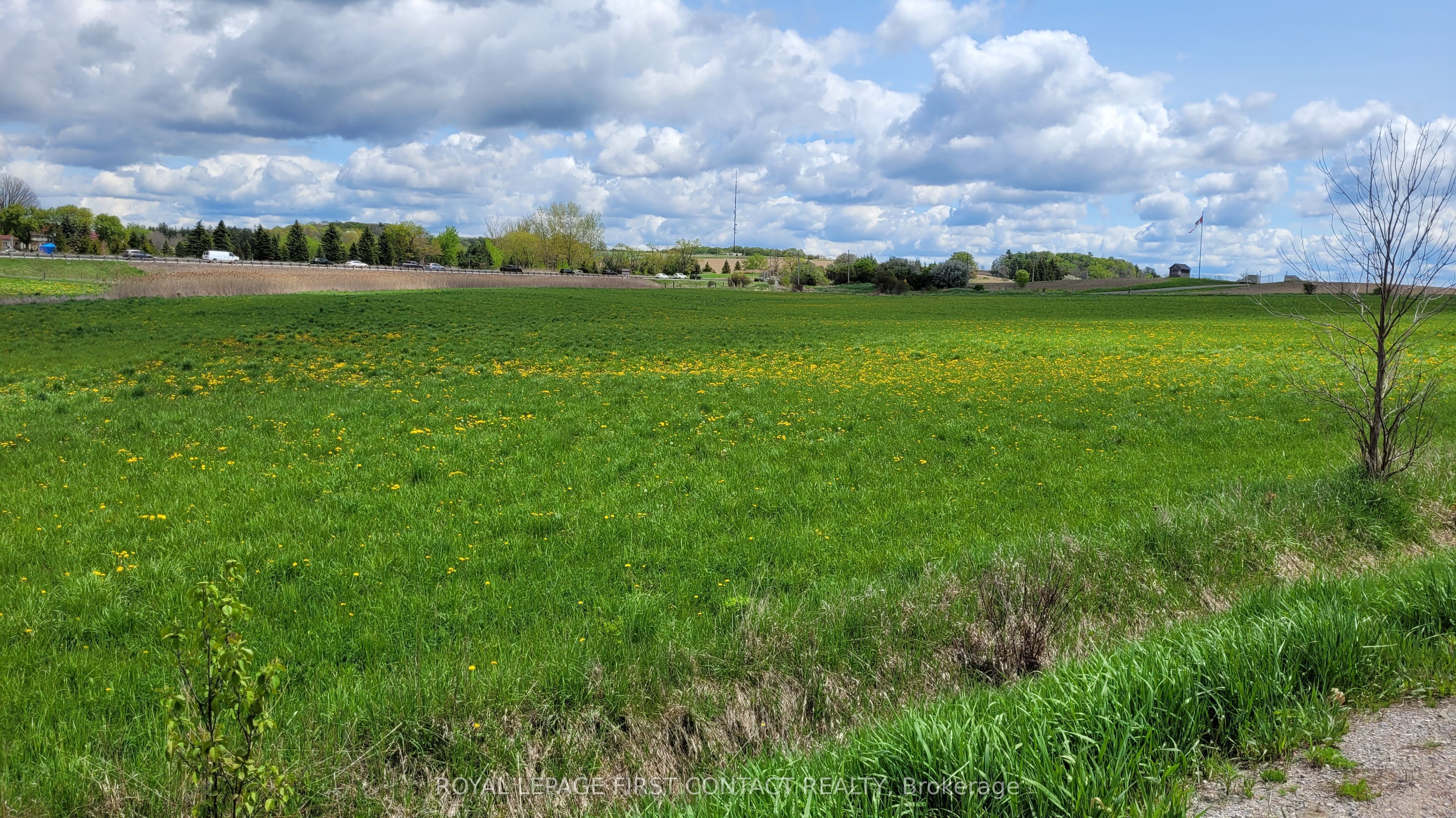 3568 4 Line Property Photo 7