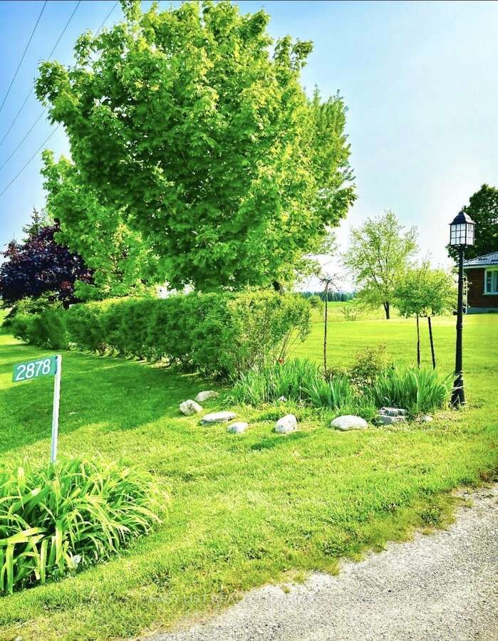 2878 10th Side Road Property Photo 3