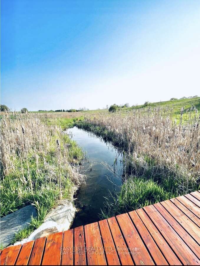 2878 10th Side Road Property Photo 14