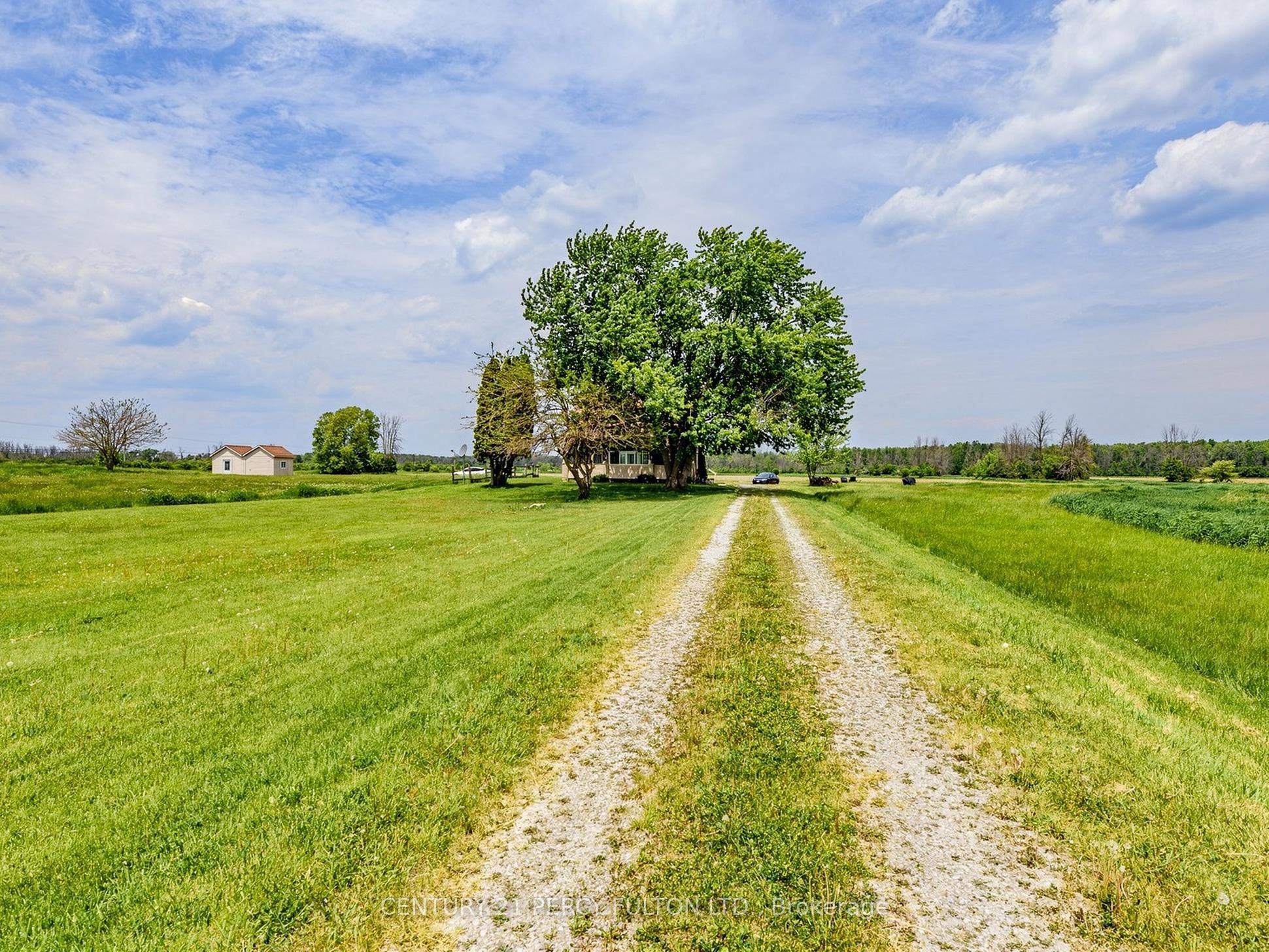 29018 Highway 48 Property Photo 40