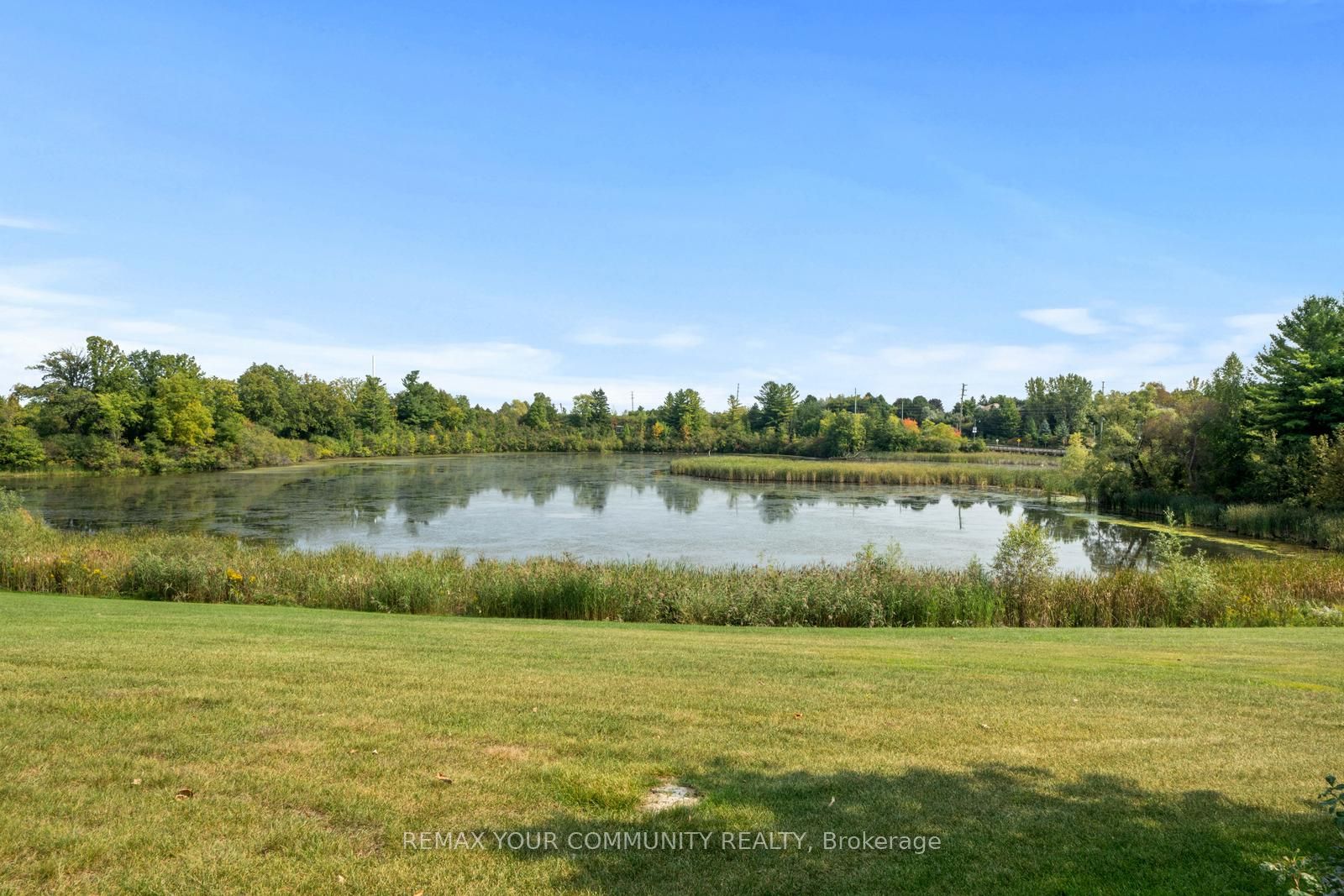130 St. John's Side Road E Property Photo 17