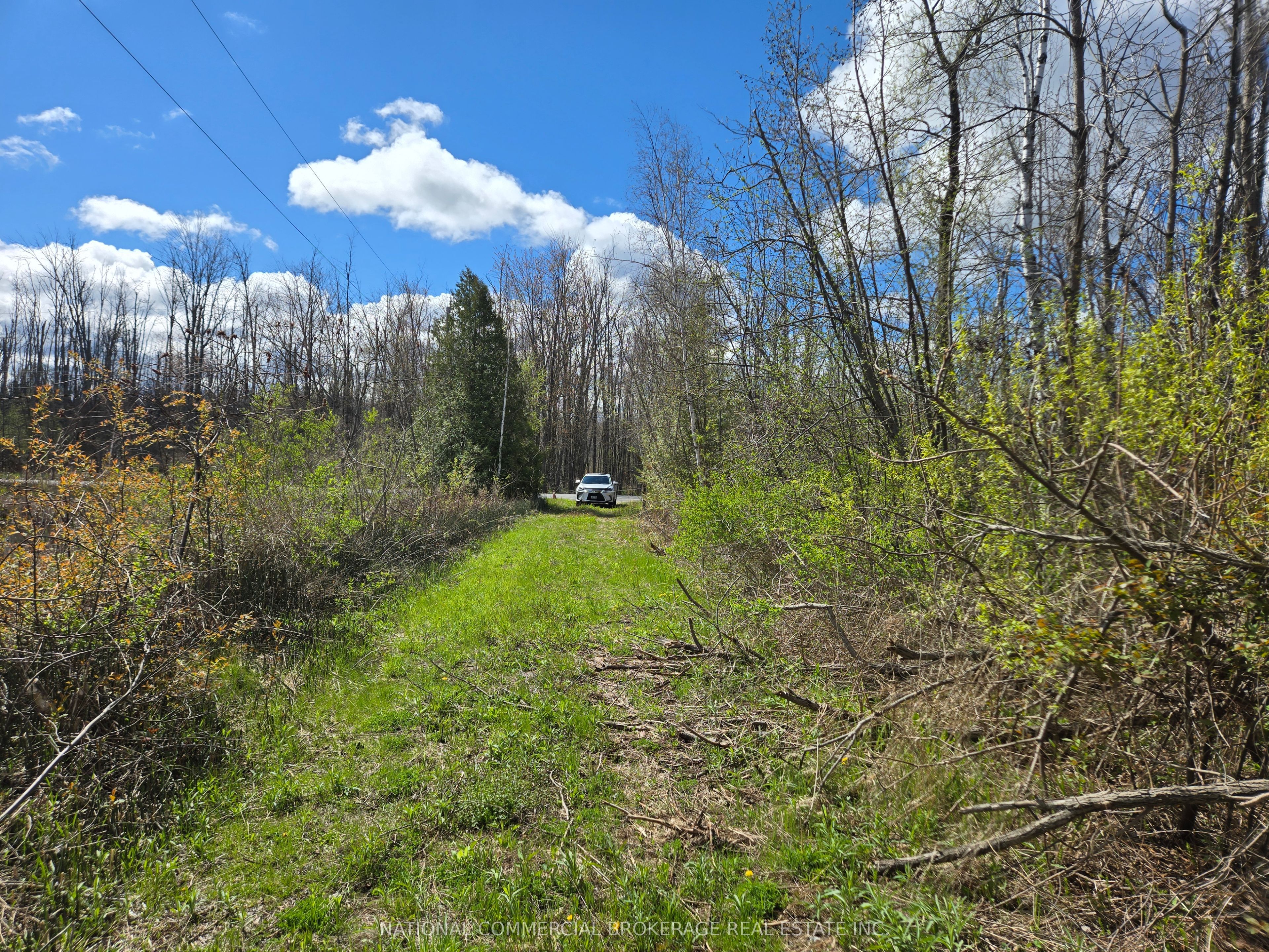 9152 Old Homestead Road Property Photo 8