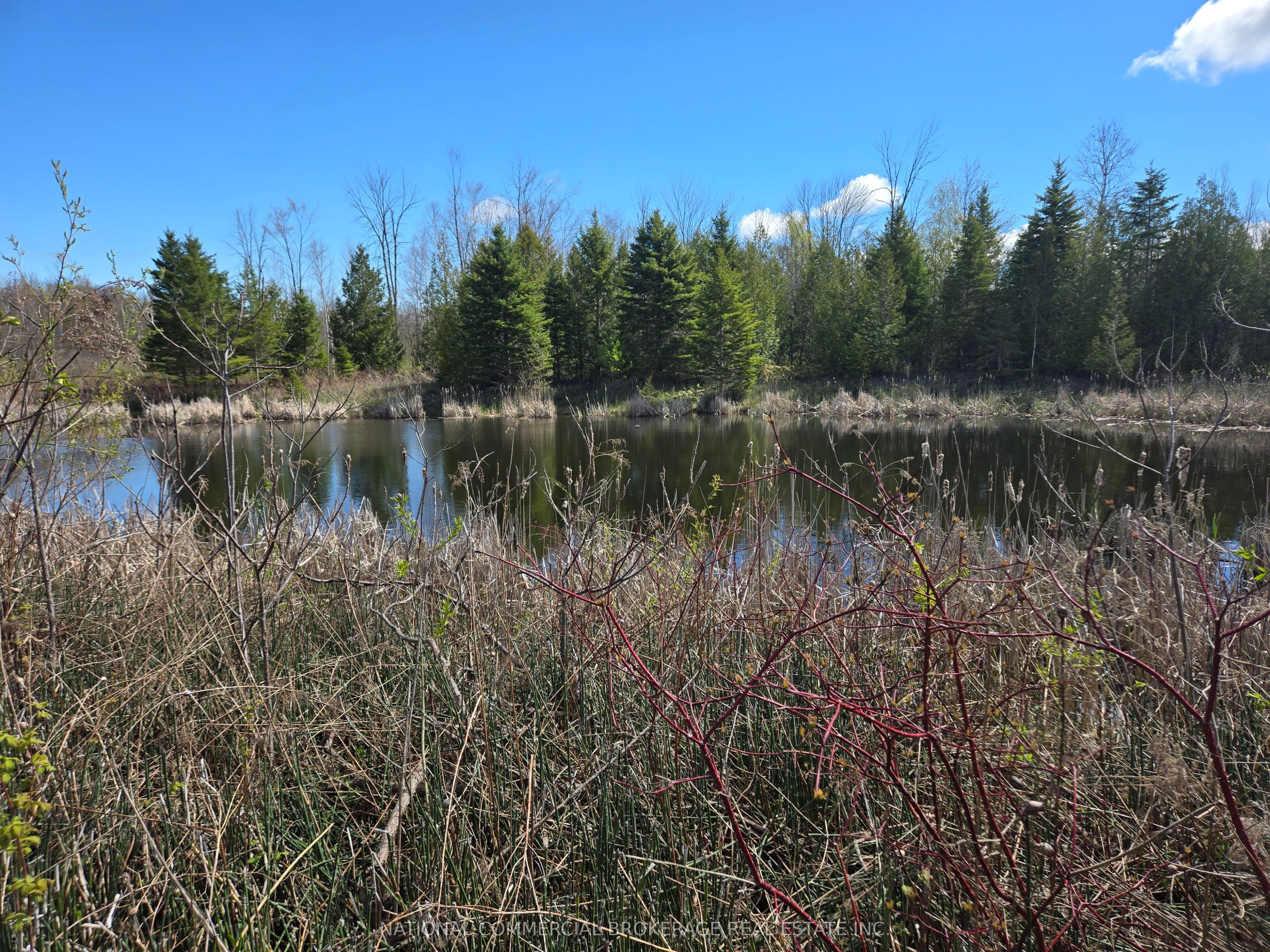9152 Old Homestead Road Property Photo 9