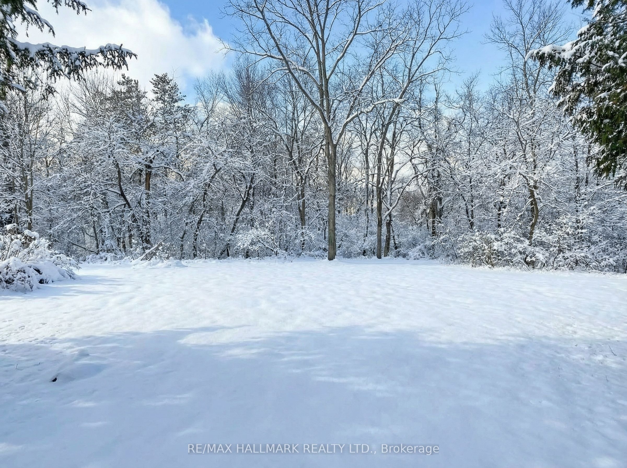 108 Yongehurst Road Property Photo 4