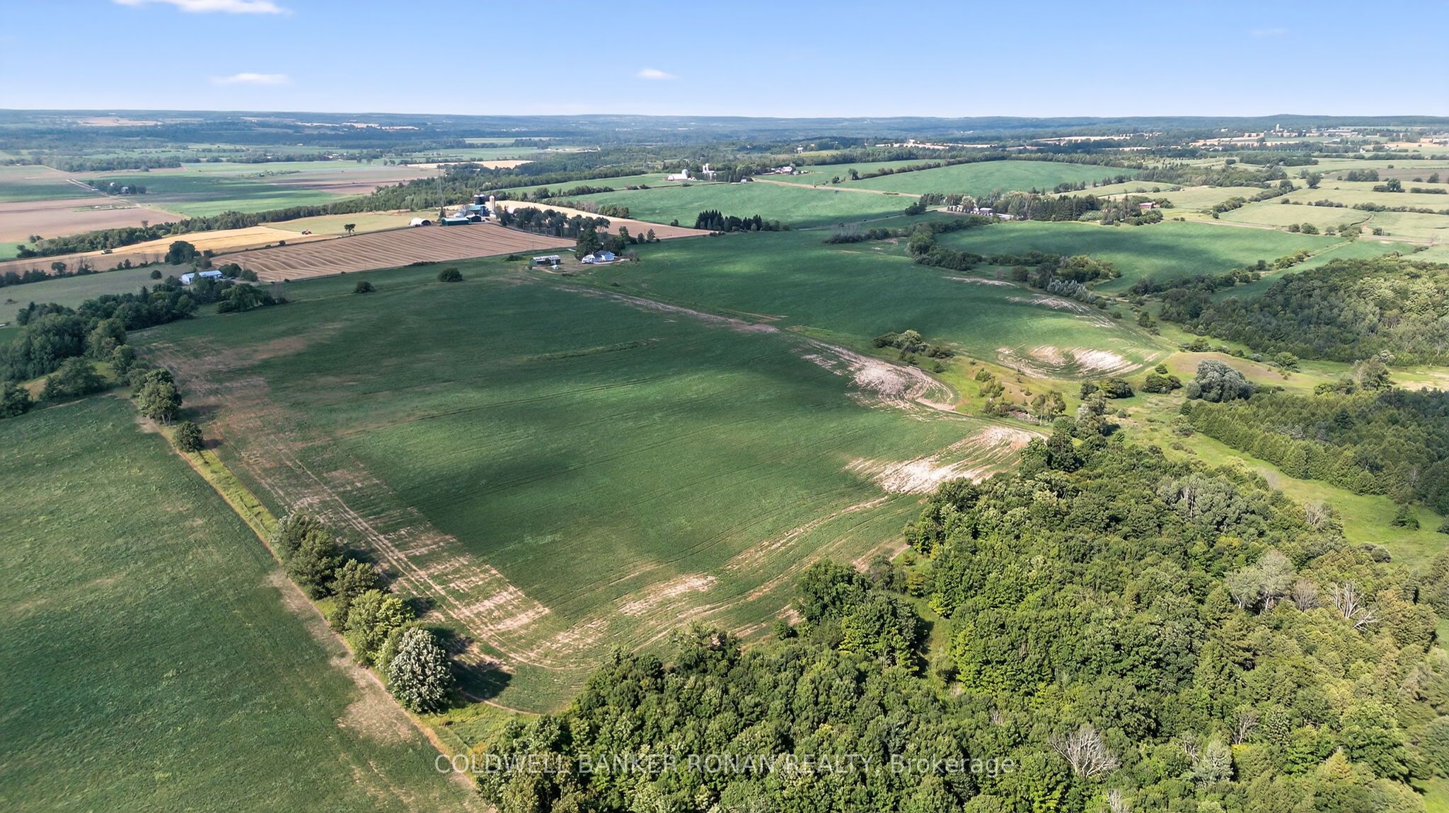 4495 Line 11 Property Photo 4