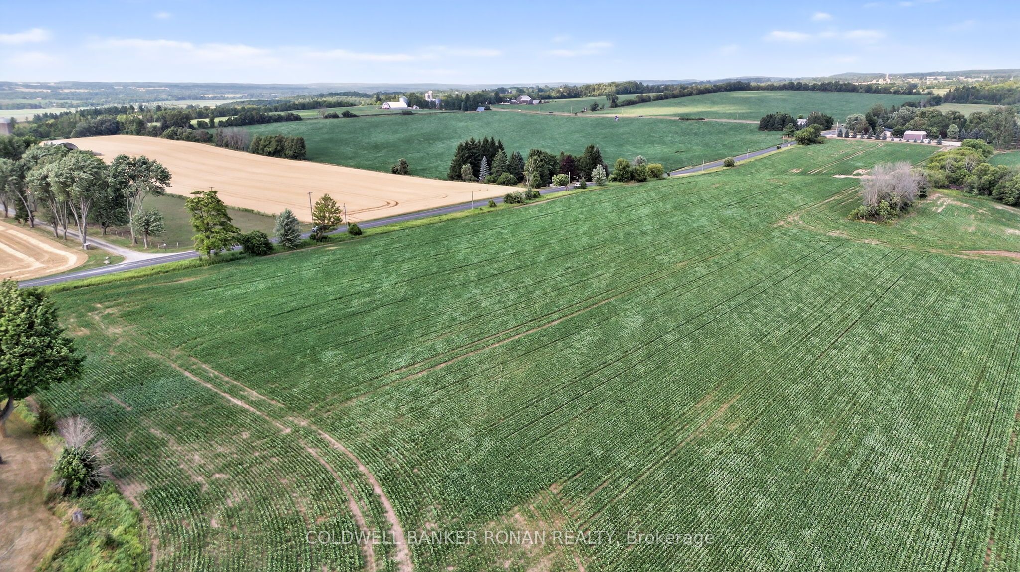 4495 Line 11 Property Photo 17