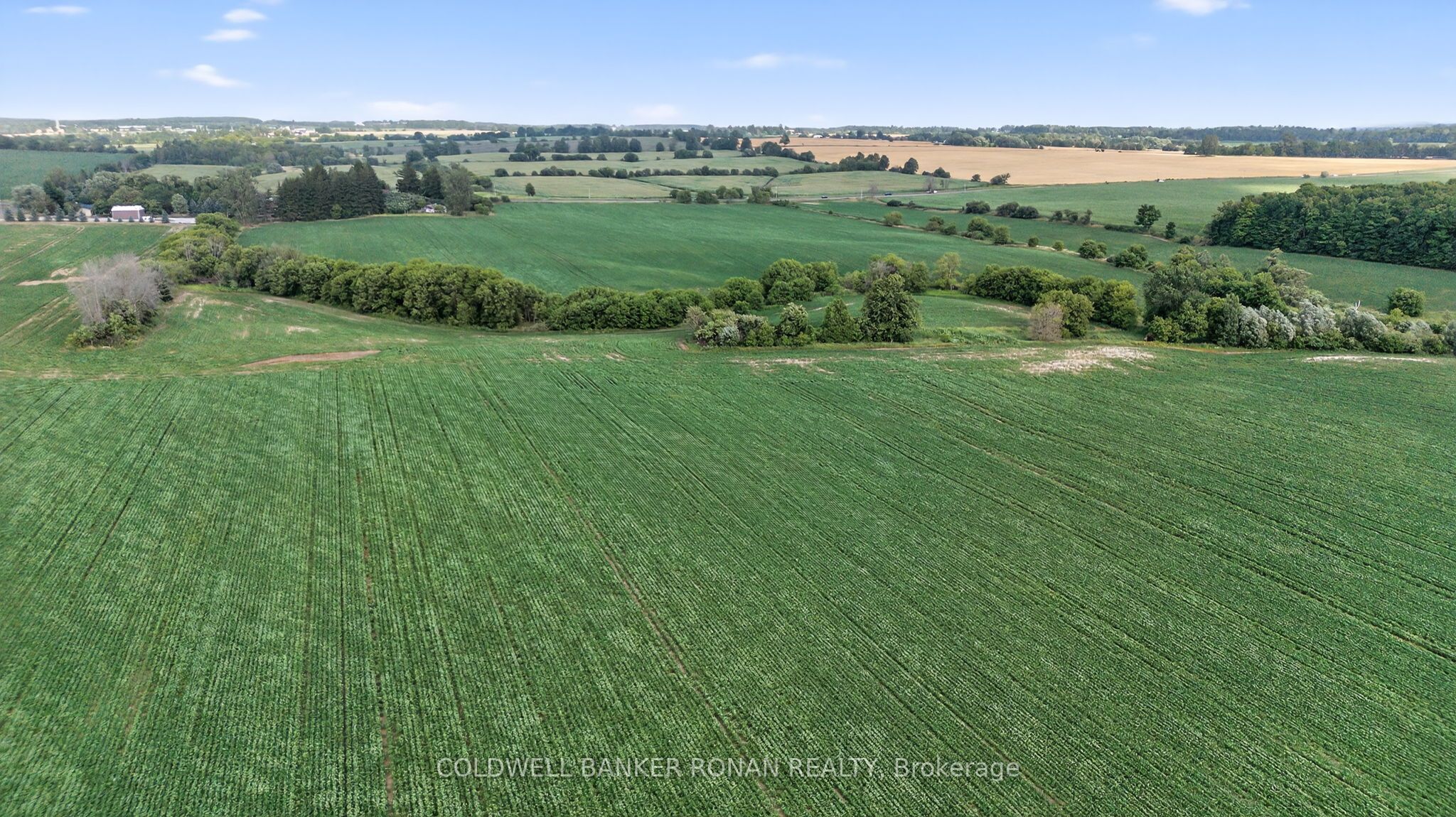 4495 Line 11 Property Photo 18