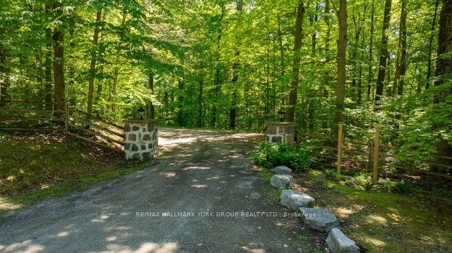 4235 17th Side Road Property Photo 3
