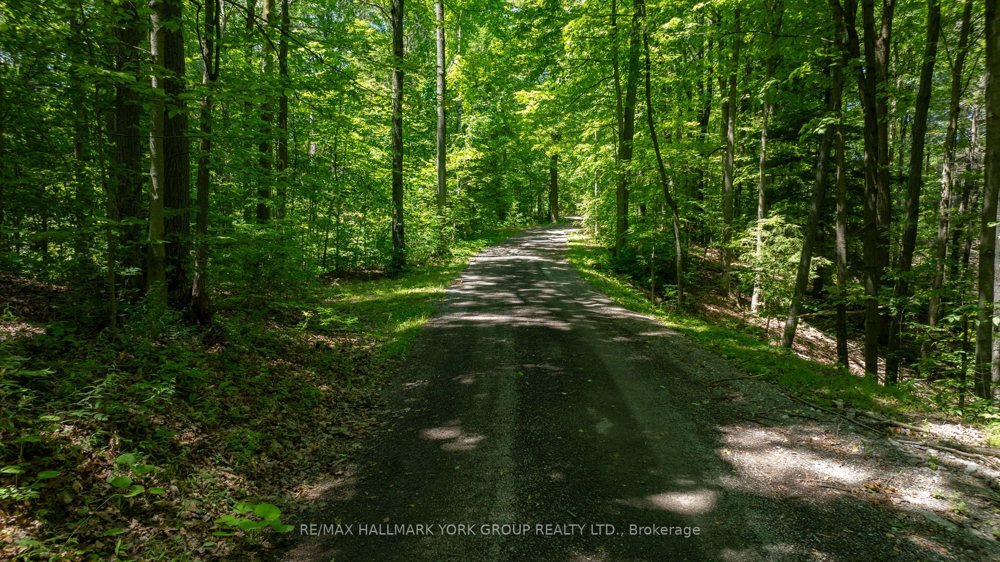 4235 17th Side Road Property Photo 4