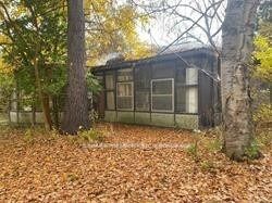 52 Proctor Avenue Property Photo 6