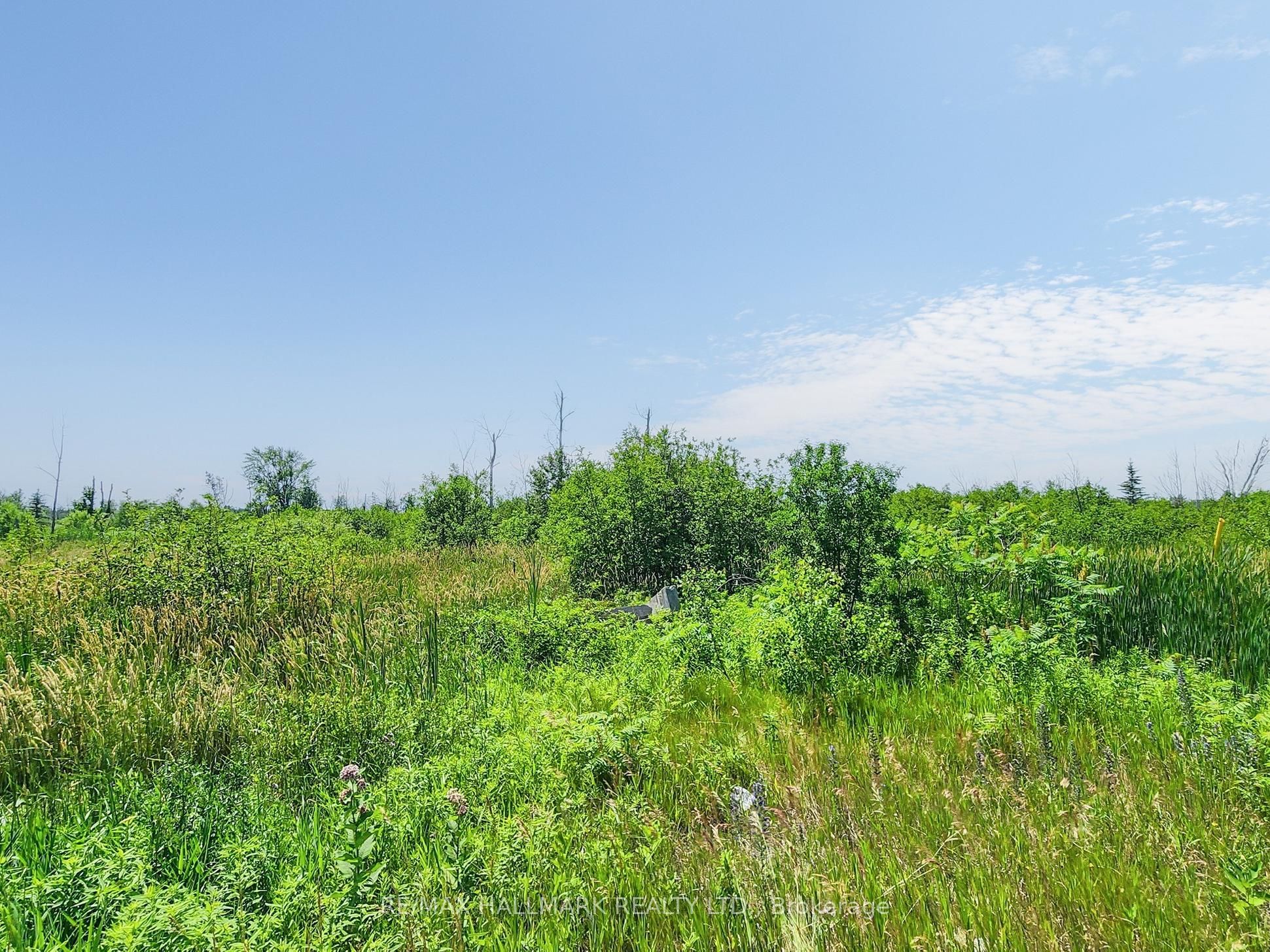 20200 Highway 48 Property Photo 2