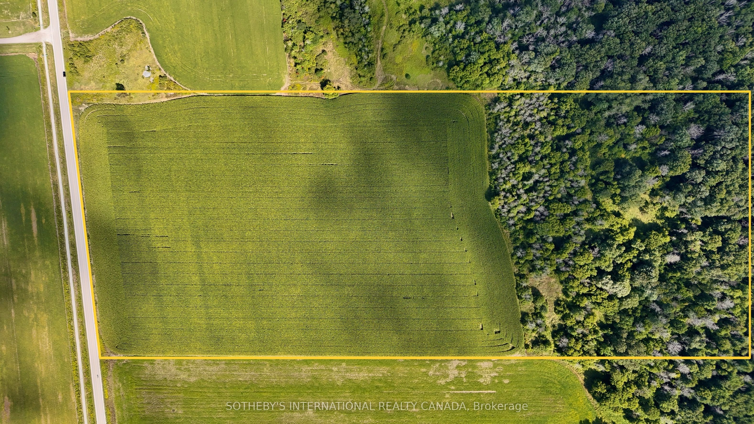 5231 13th Line Property Photo 2