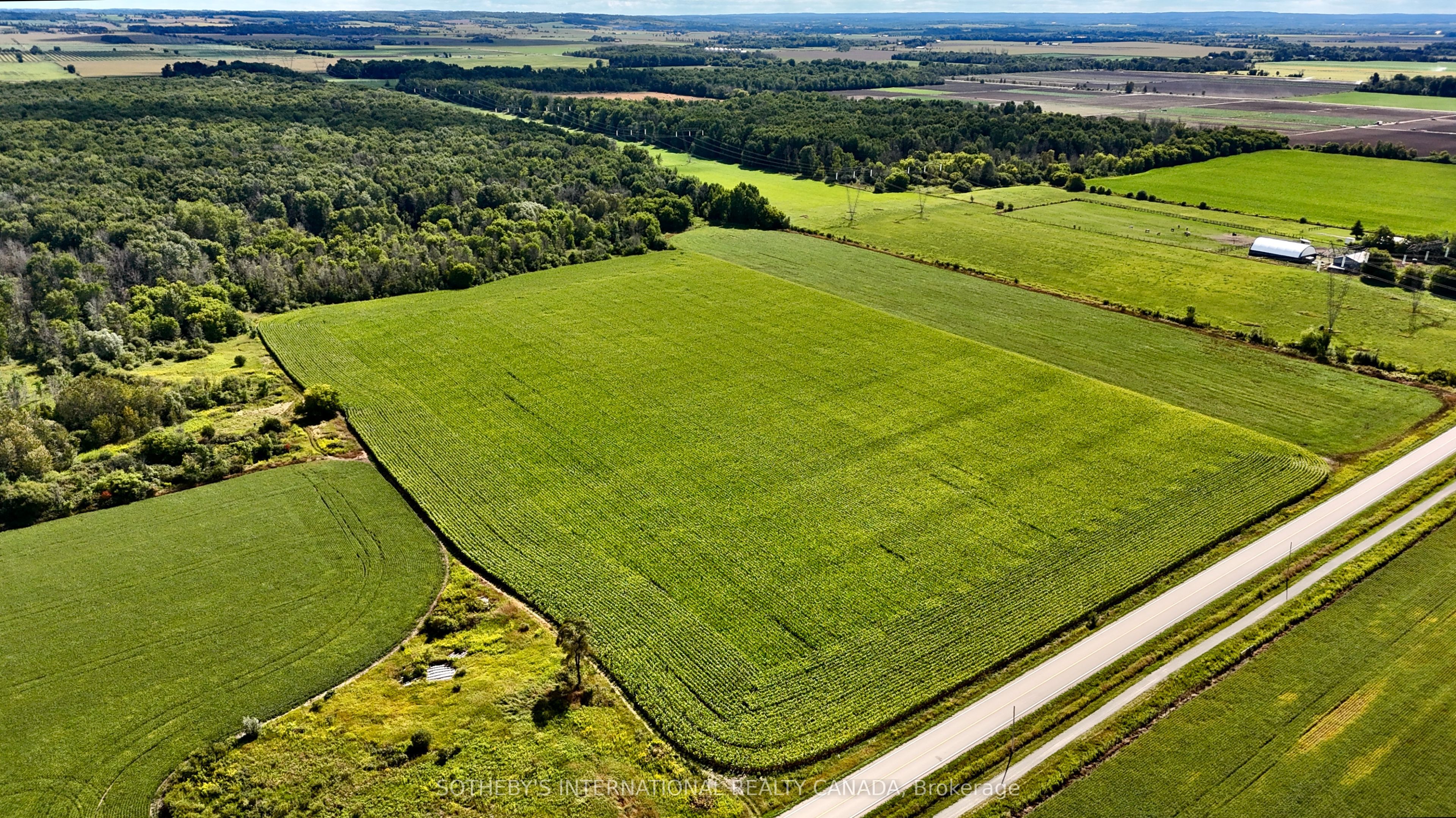 5231 13th Line Property Photo 3
