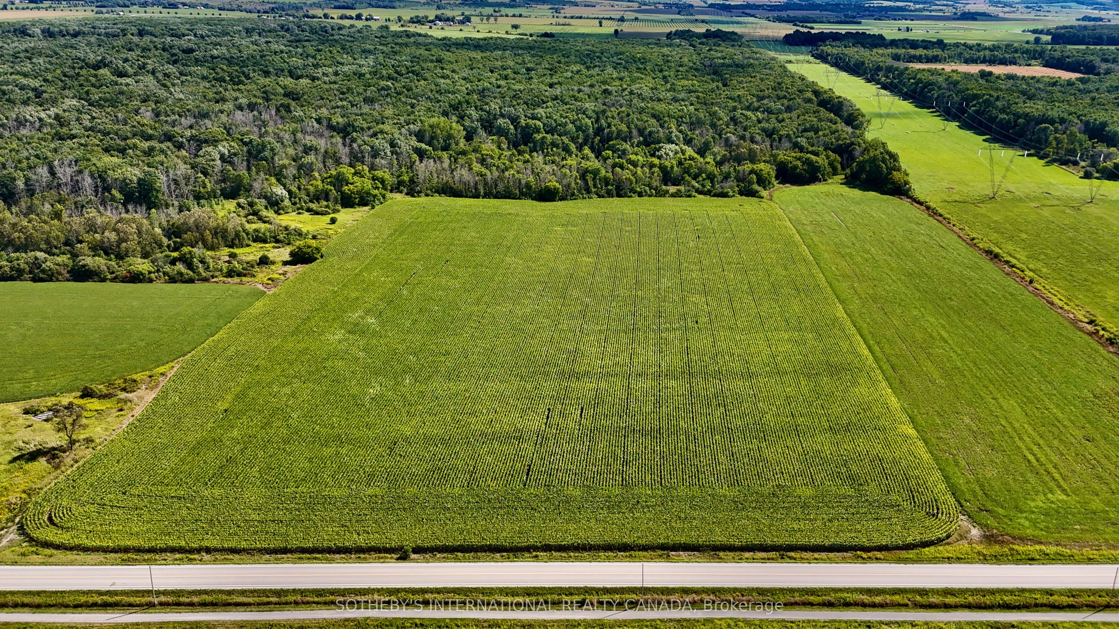 5231 13th Line Property Photo 4