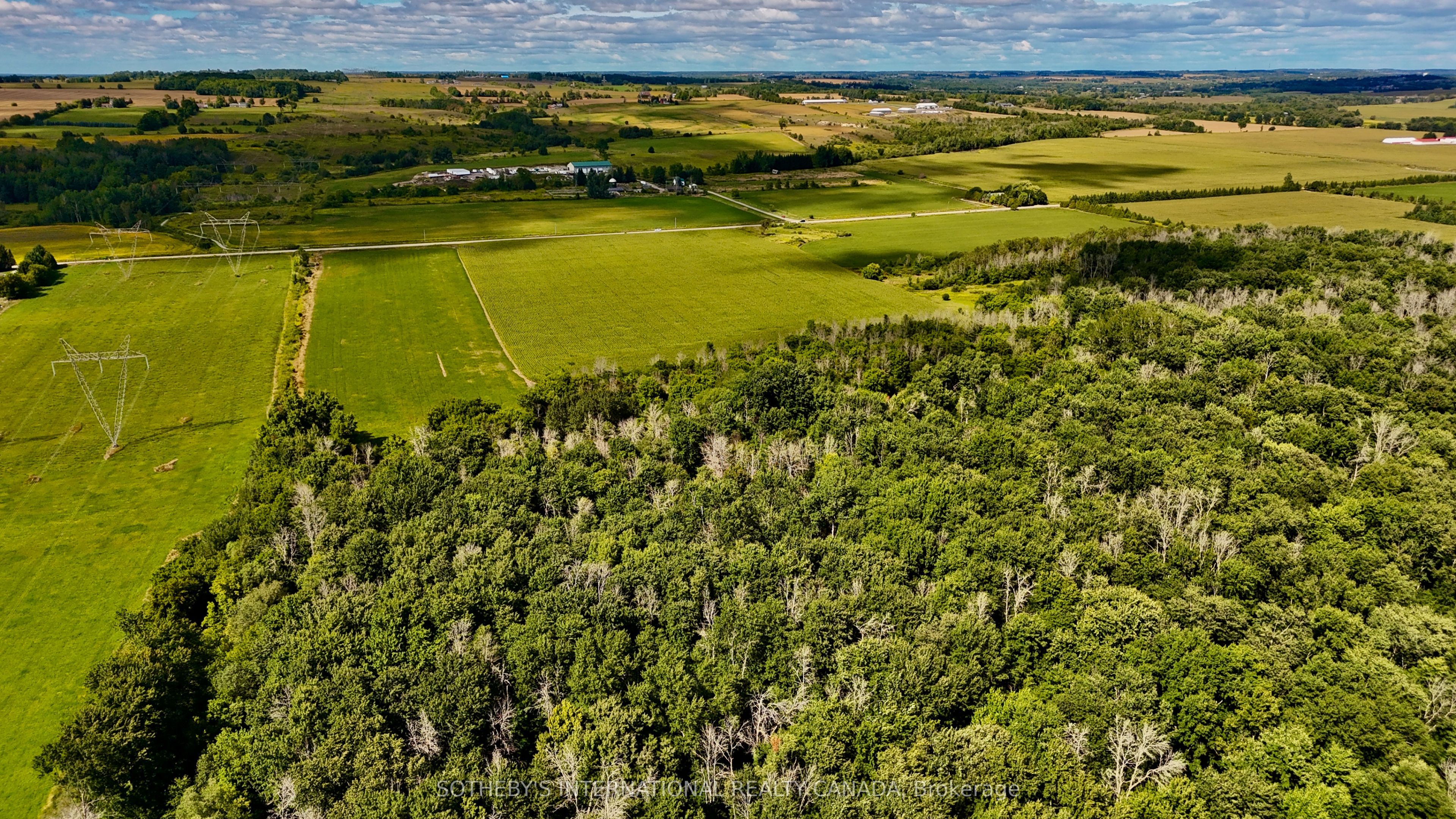 5231 13th Line Property Photo 6