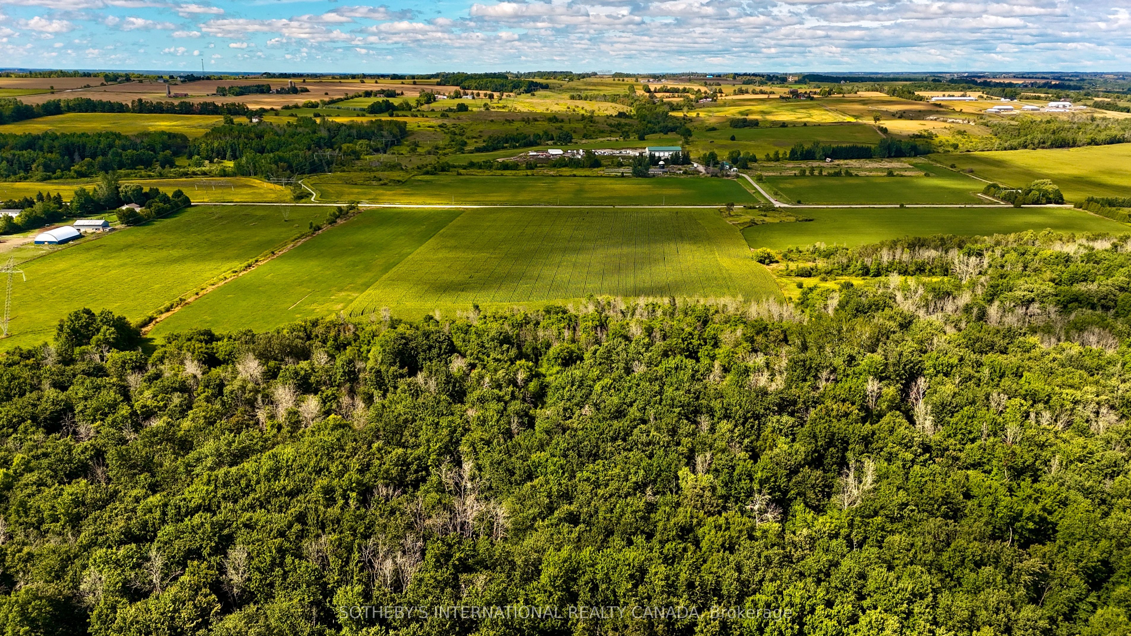 5231 13th Line Property Photo 7