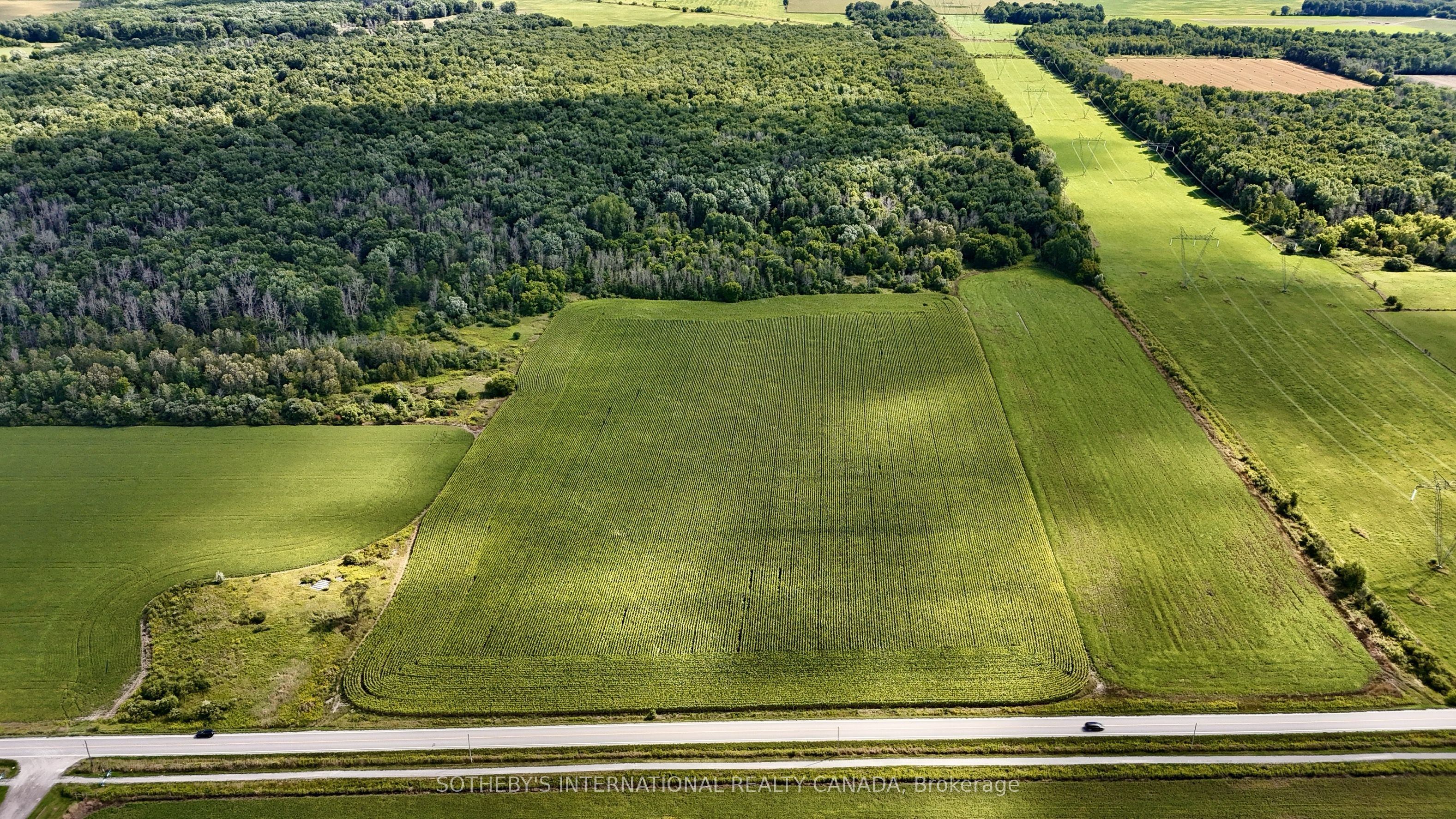 5231 13th Line Property Photo 10