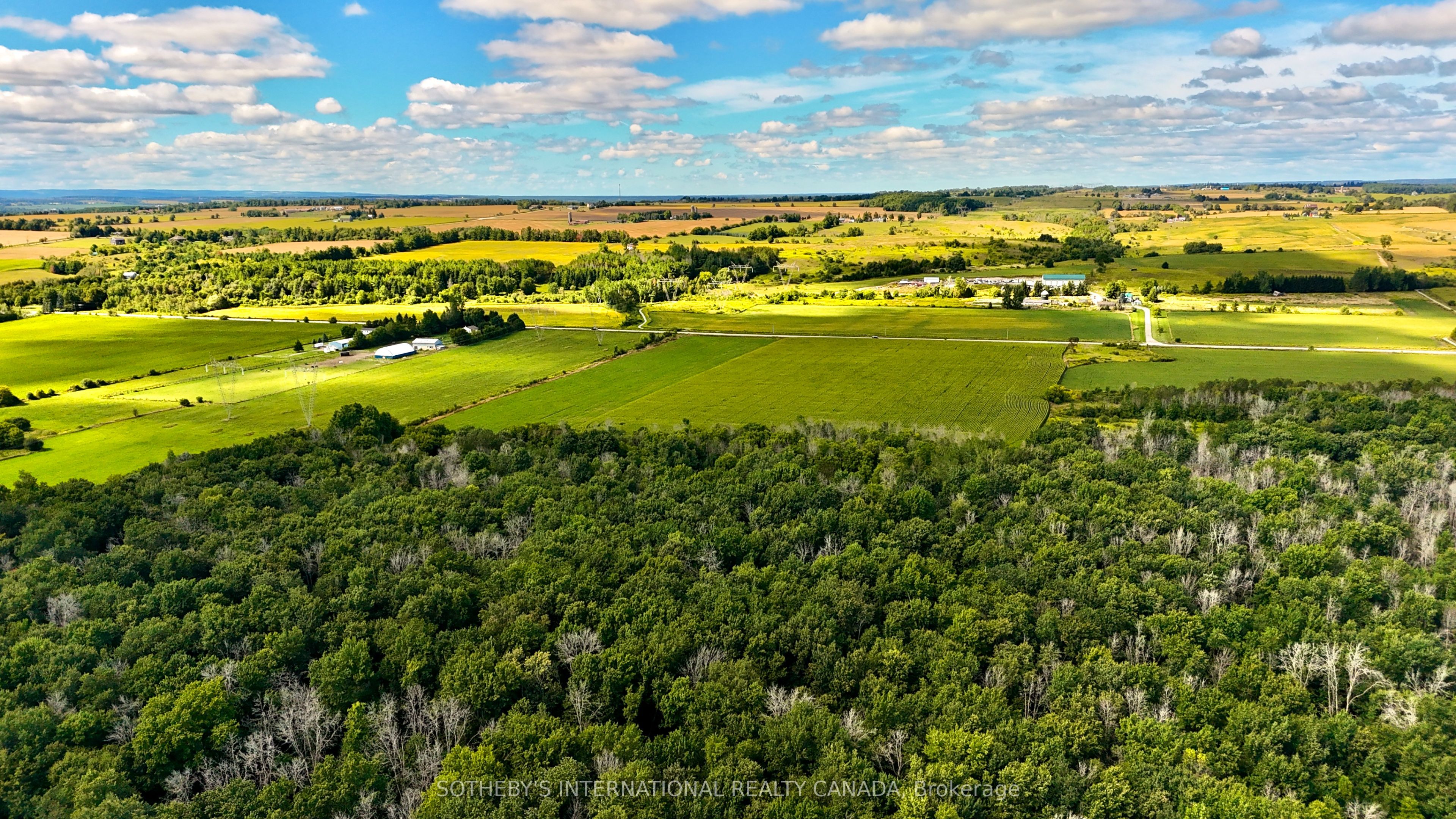 5231 13th Line Property Photo 11