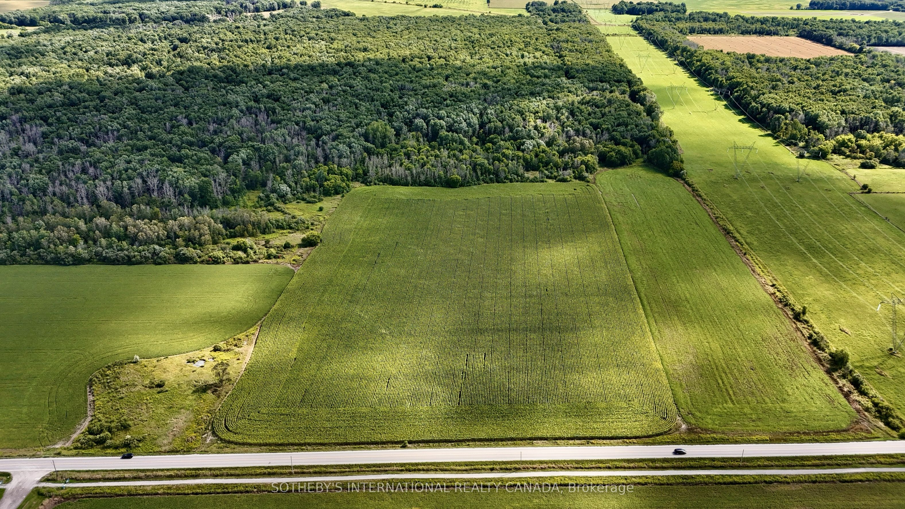 5231 13th Line Property Photo 14