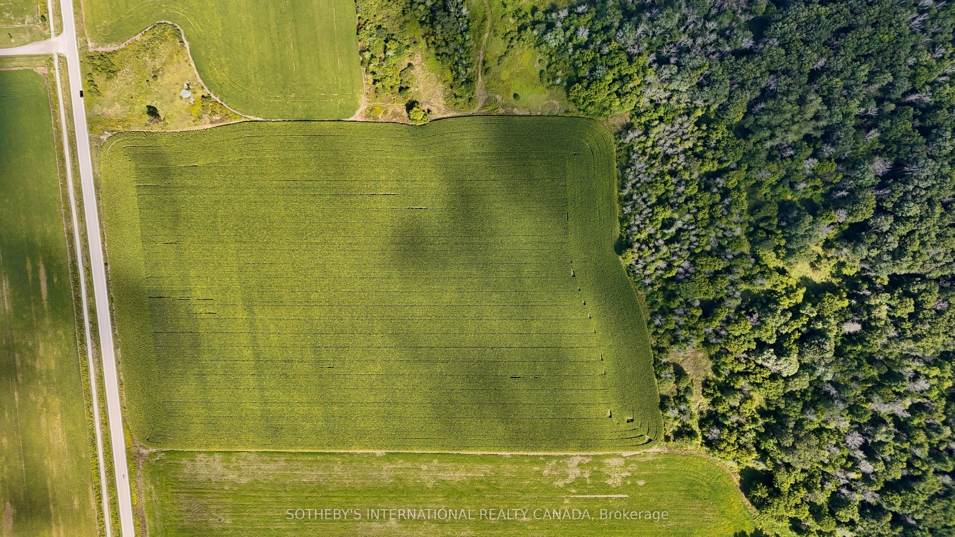 5231 13th Line Property Photo 16