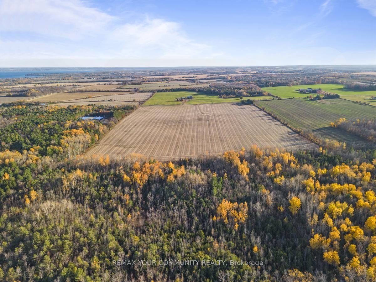 1703 Innisfil Beach Road Property Photo 4