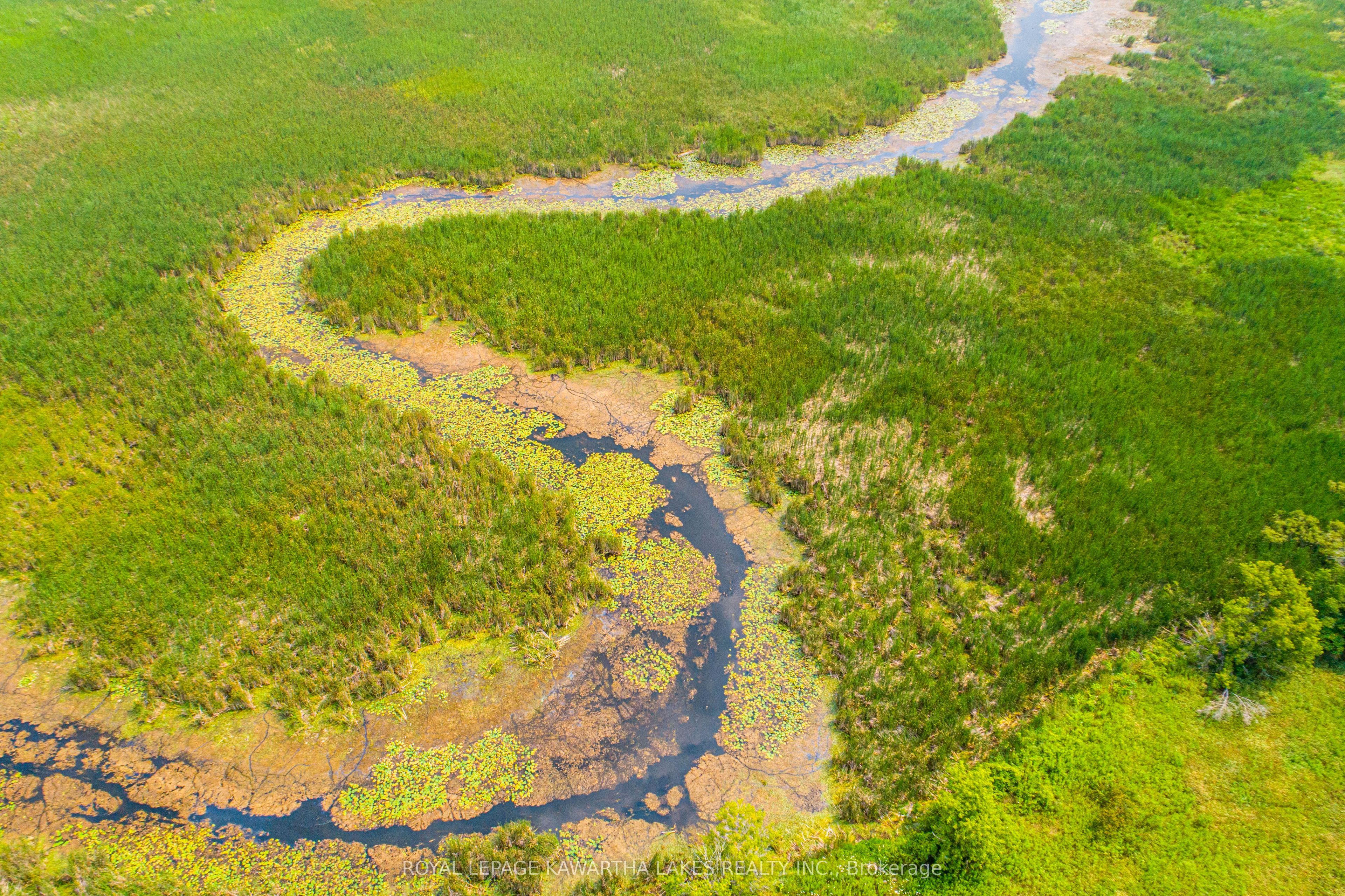 Pt Lt 13 Con 6 Property Photo 5